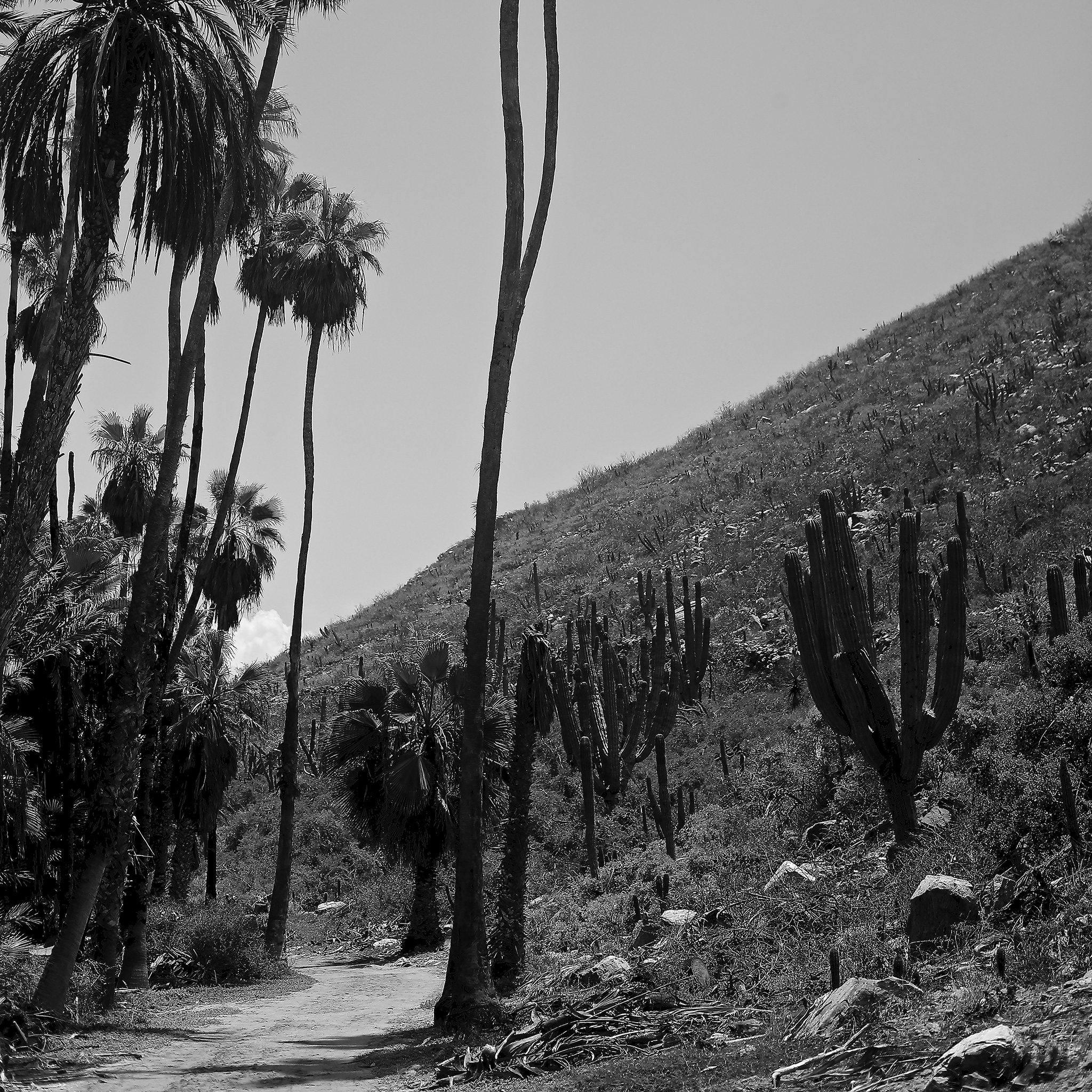 Photography by Isaac Zoller