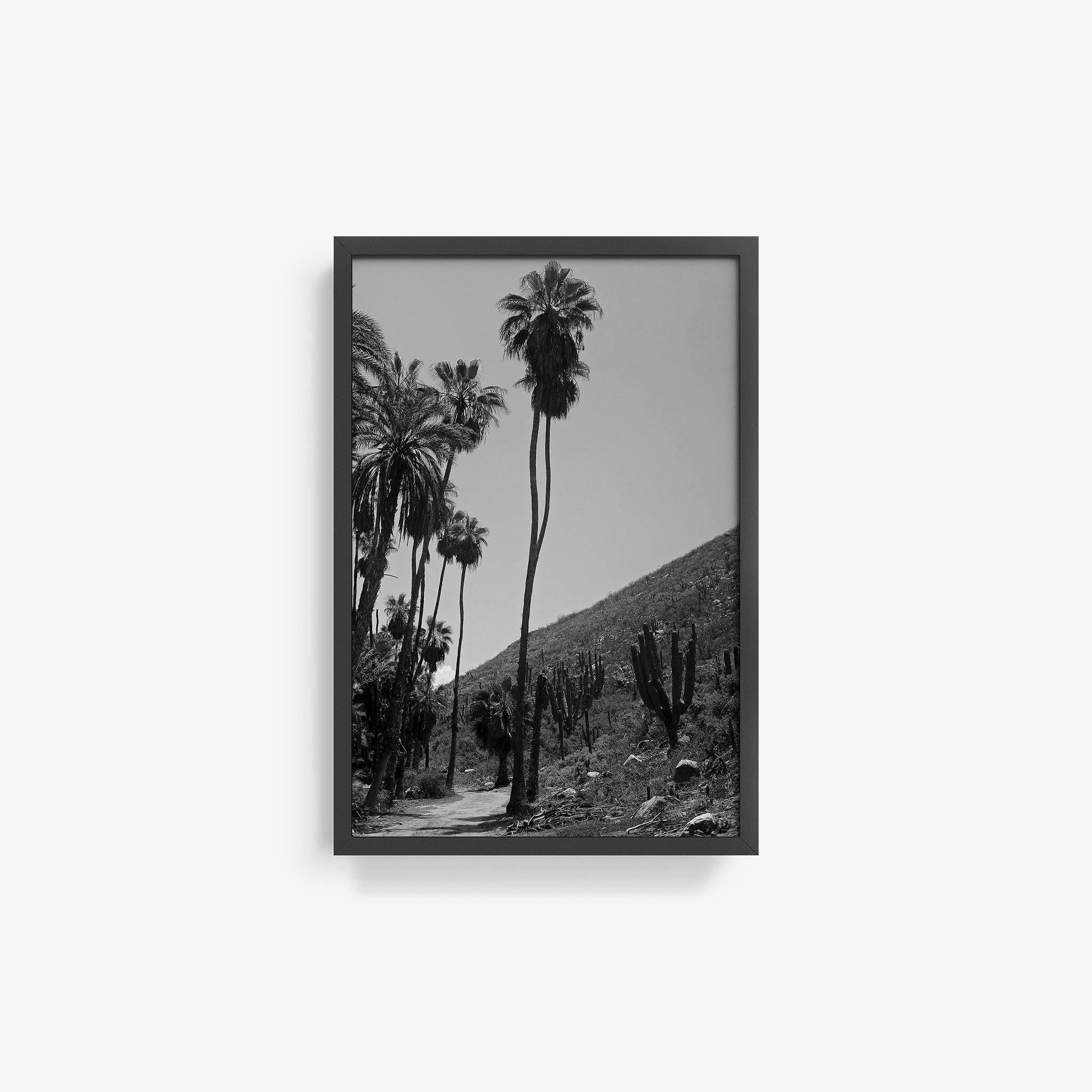 Photography by Isaac Zoller