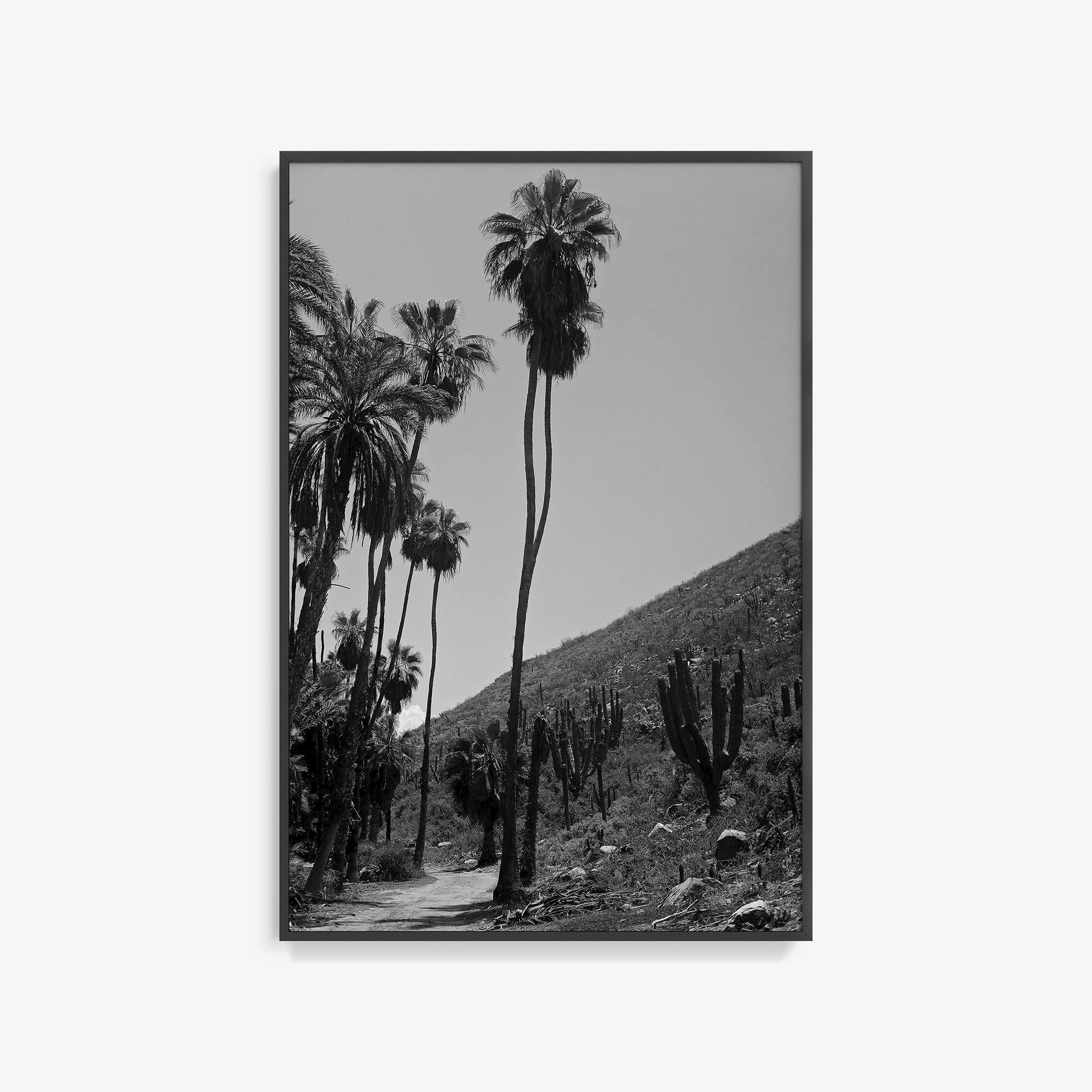 Photography by Isaac Zoller