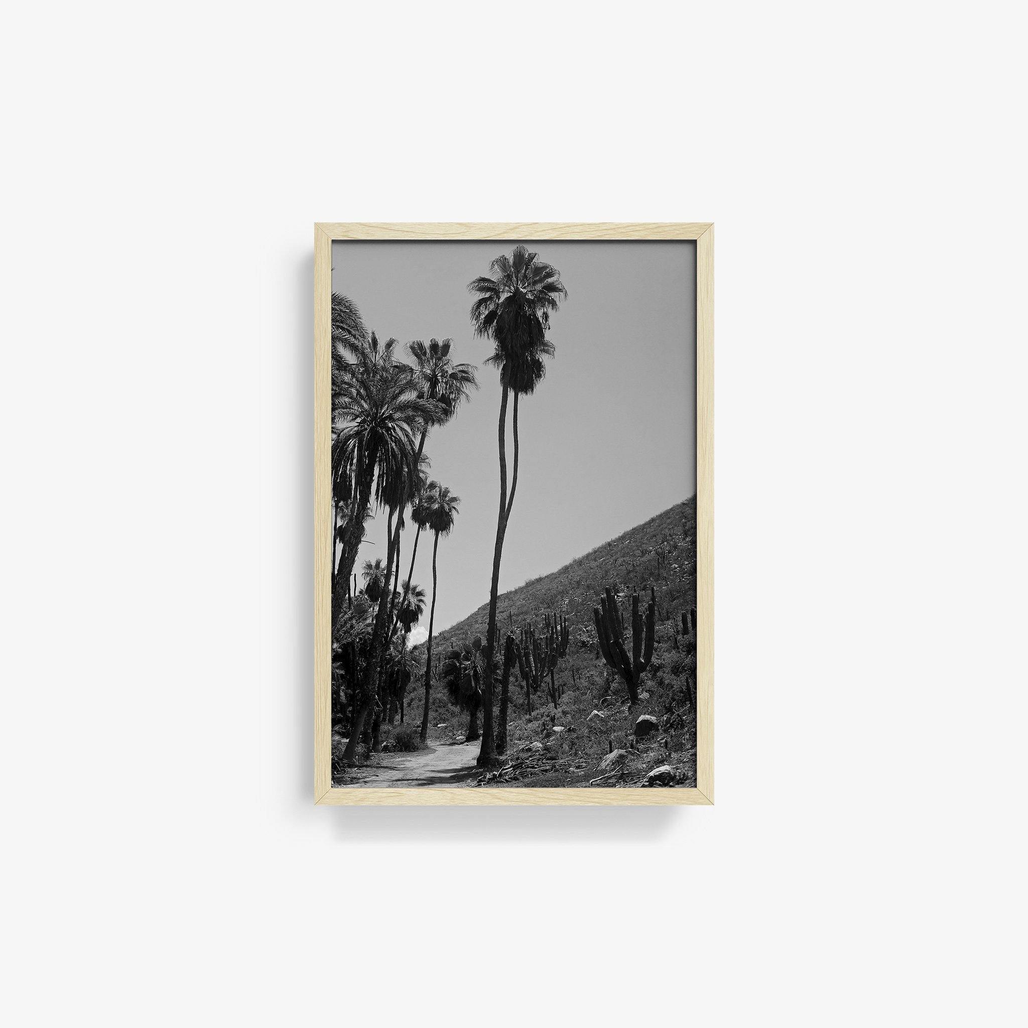 Photography by Isaac Zoller