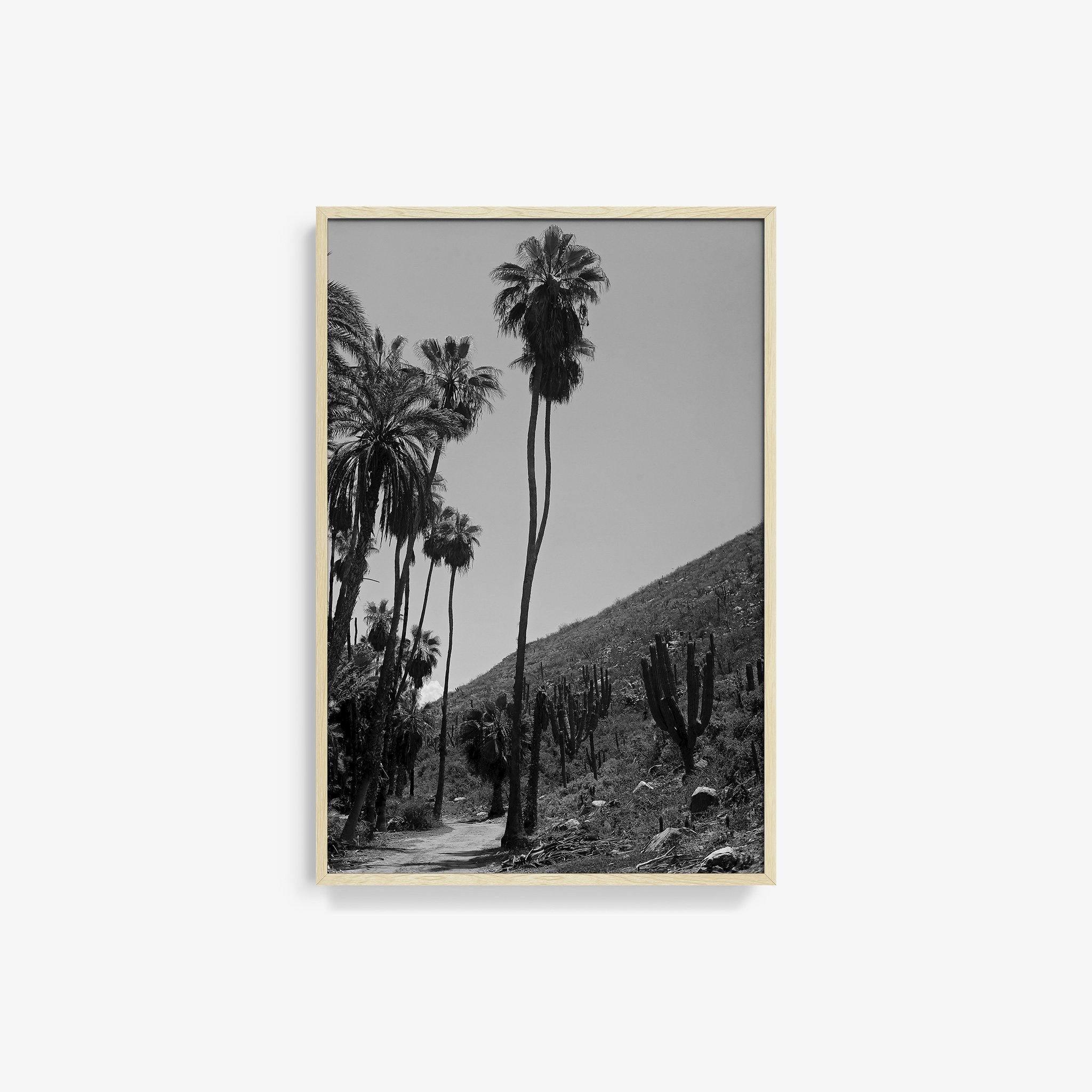 Photography by Isaac Zoller