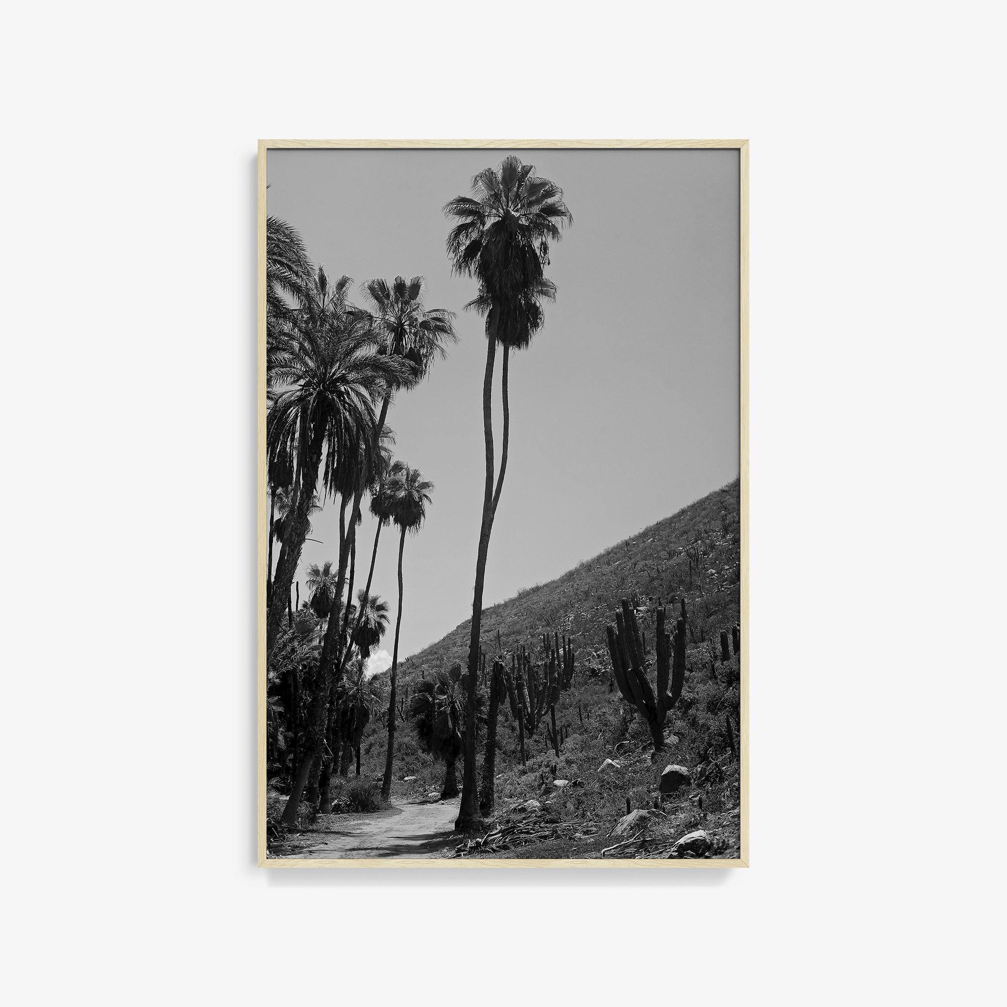 Photography by Isaac Zoller