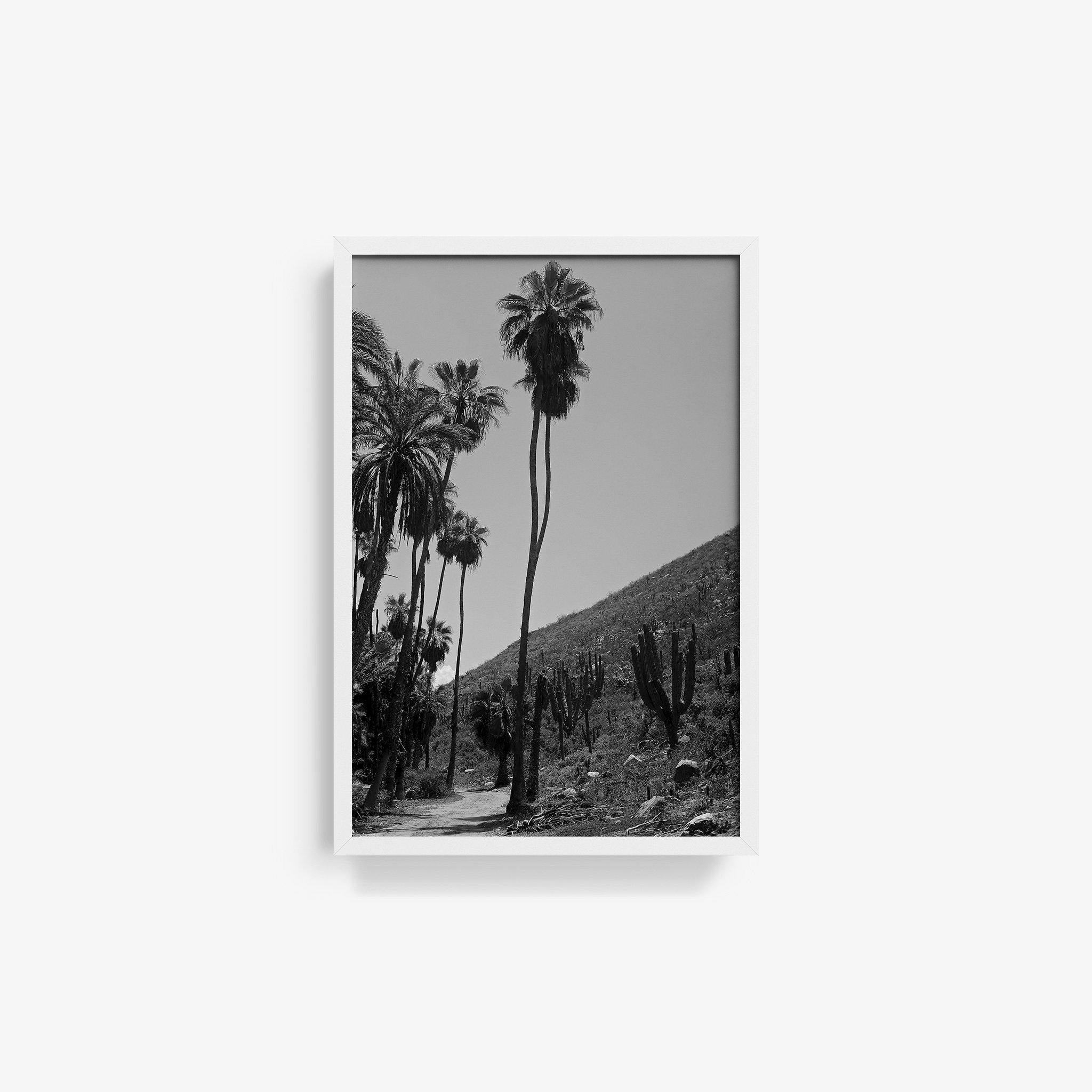 Photography by Isaac Zoller