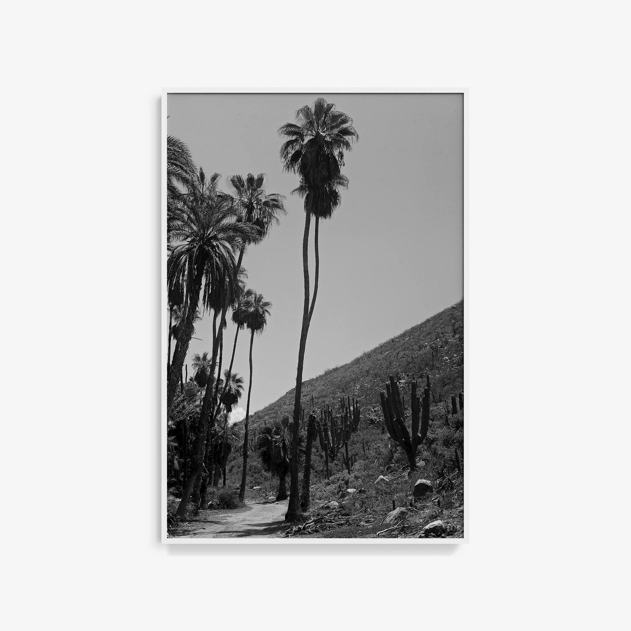 Photography by Isaac Zoller