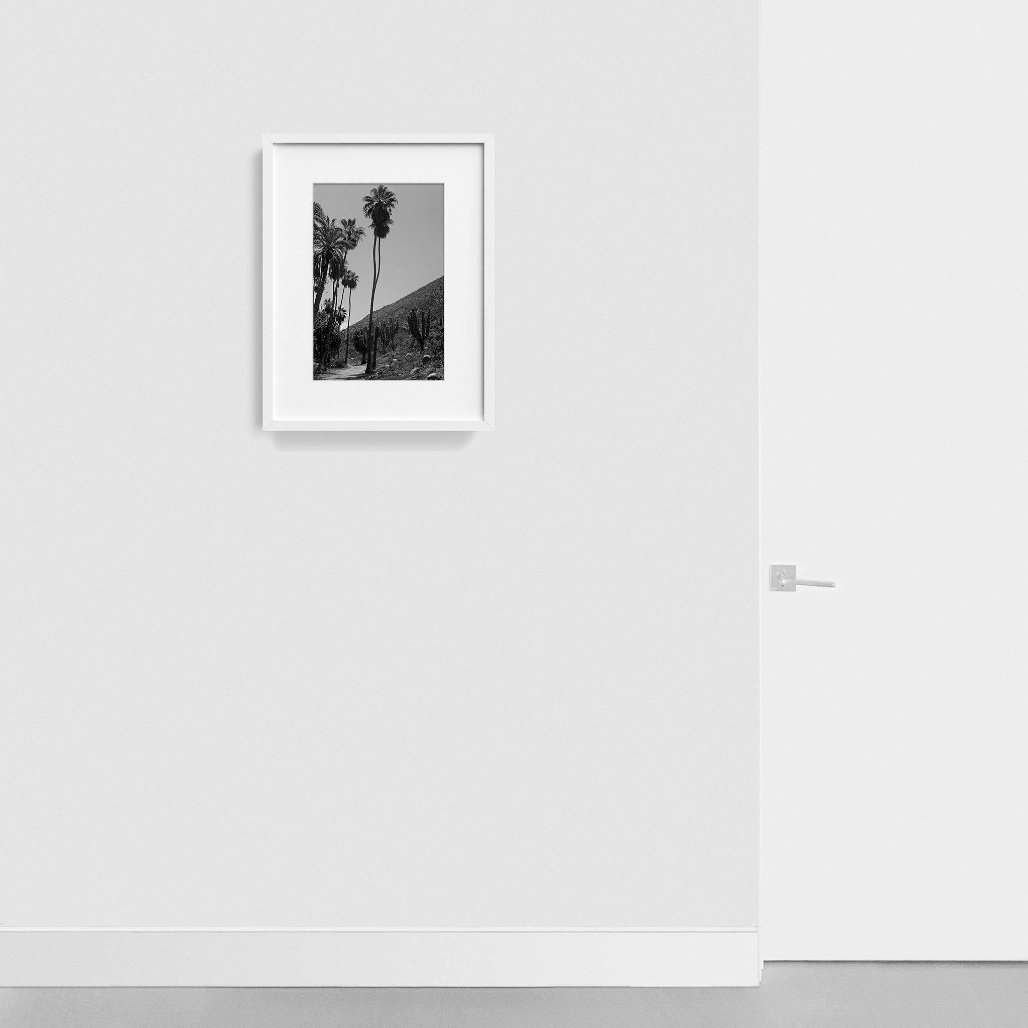 Photography by Isaac Zoller