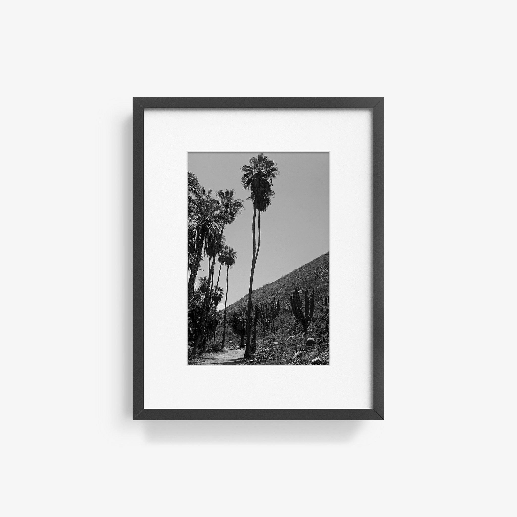 Photography by Isaac Zoller