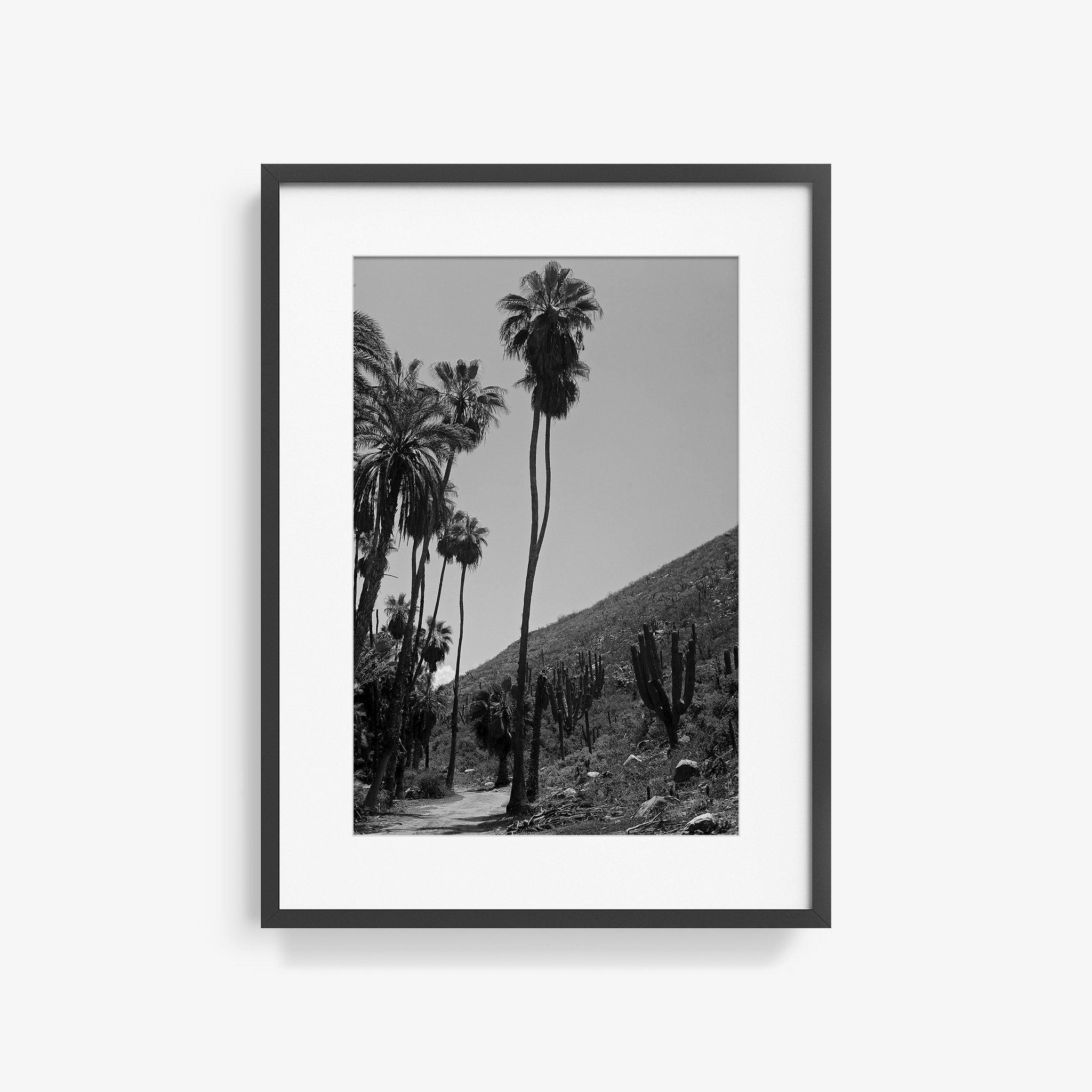 Photography by Isaac Zoller