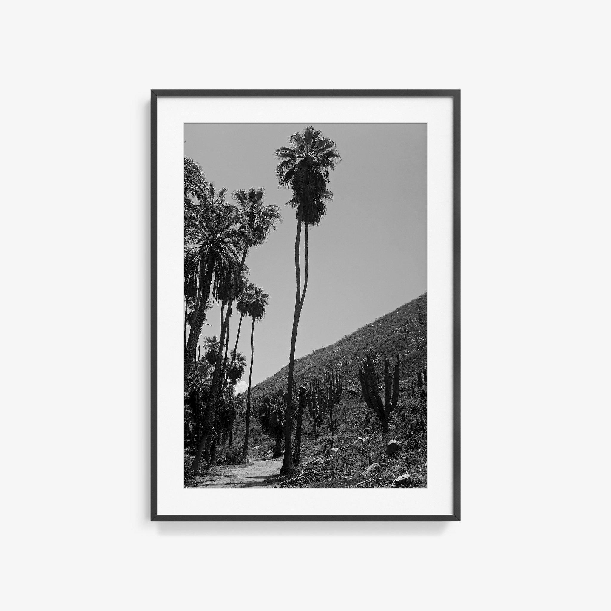 Photography by Isaac Zoller
