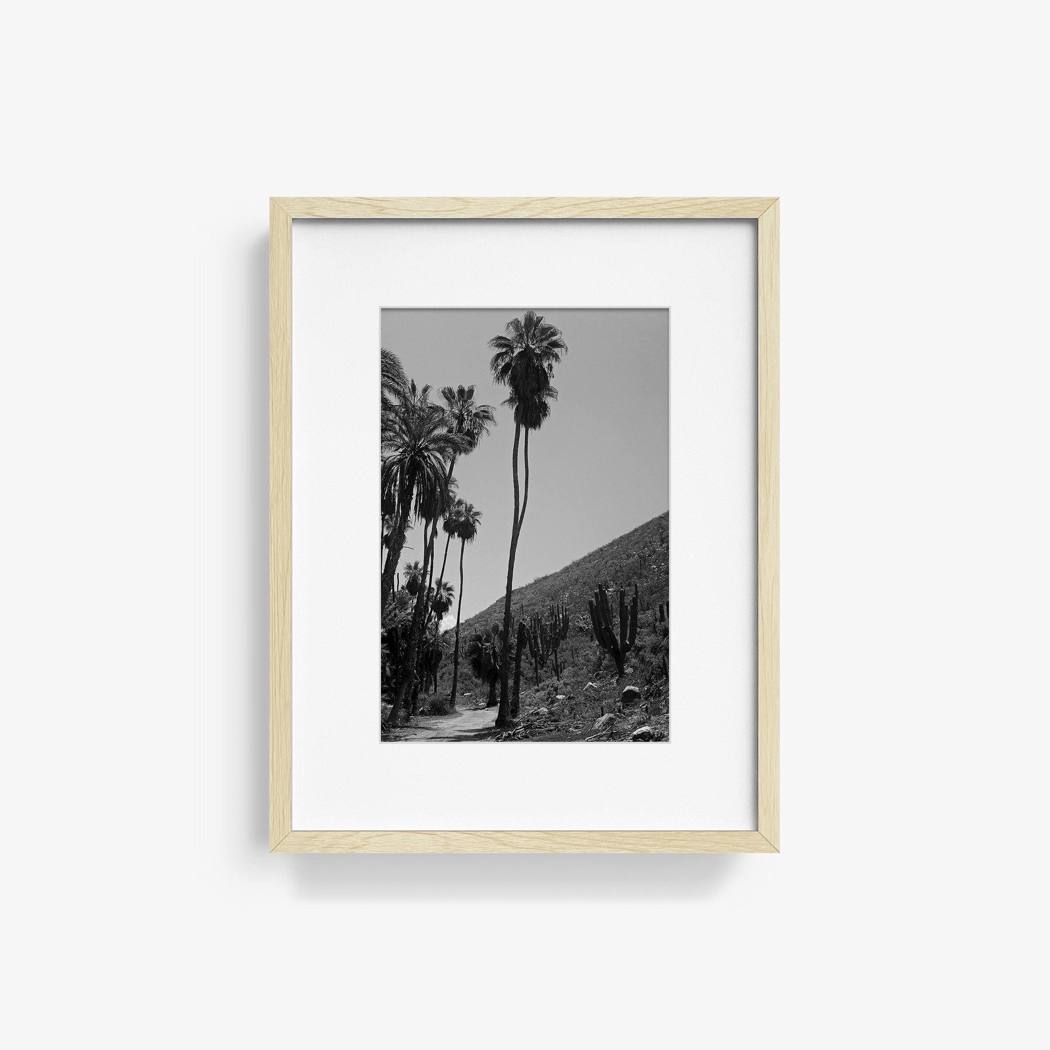 Photography by Isaac Zoller