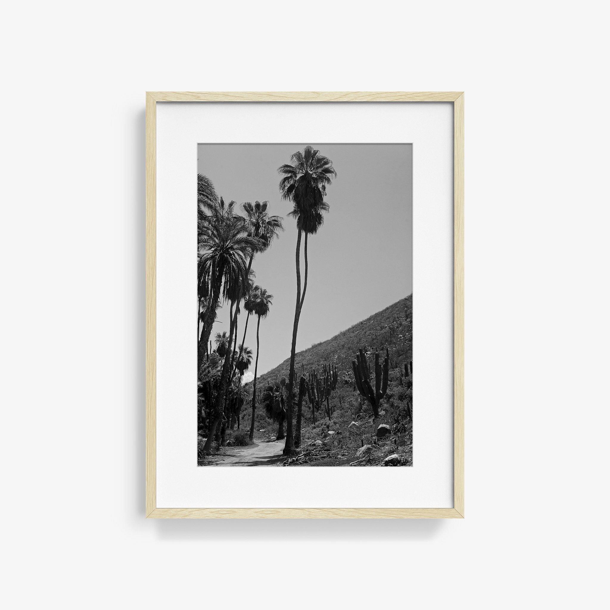 Photography by Isaac Zoller