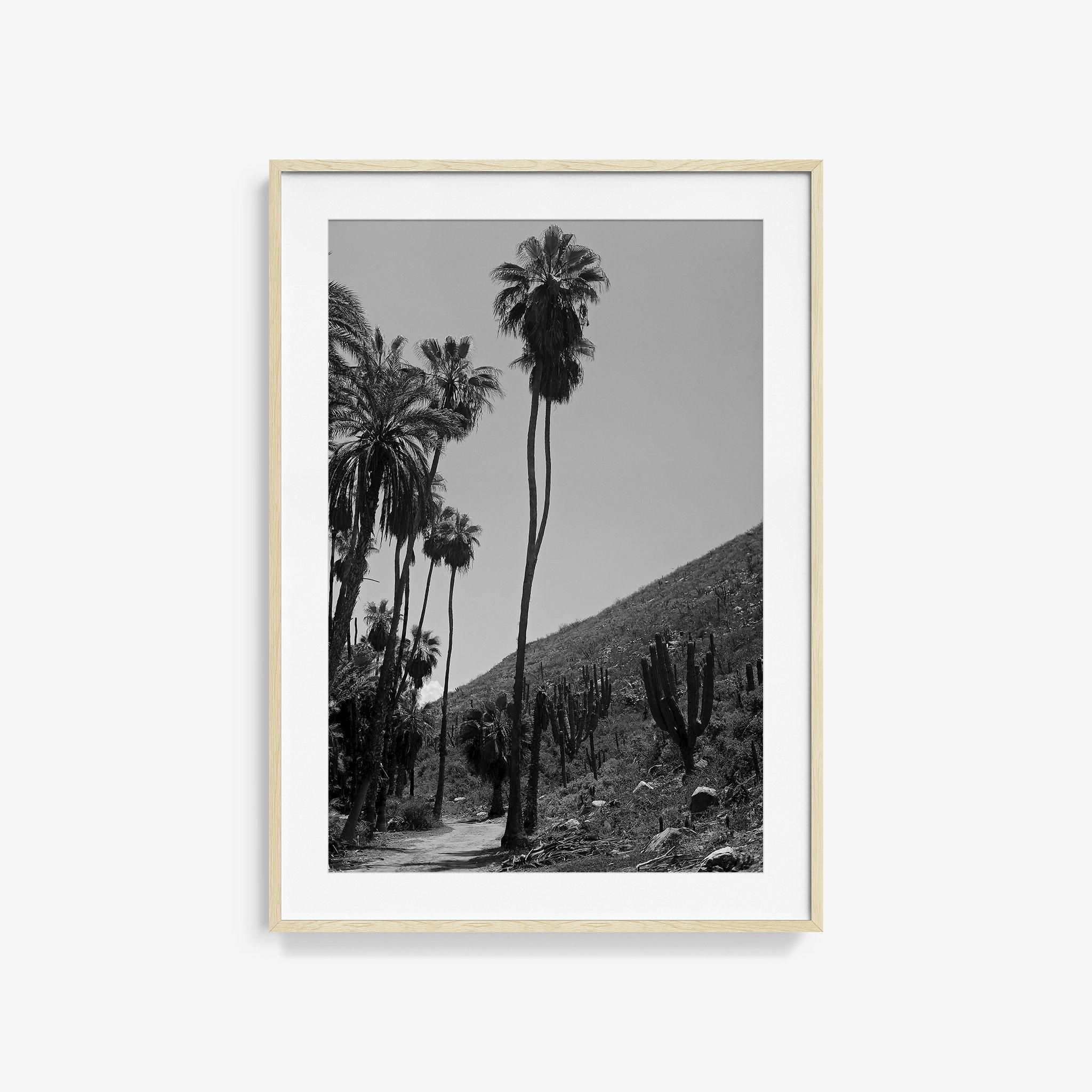 Photography by Isaac Zoller