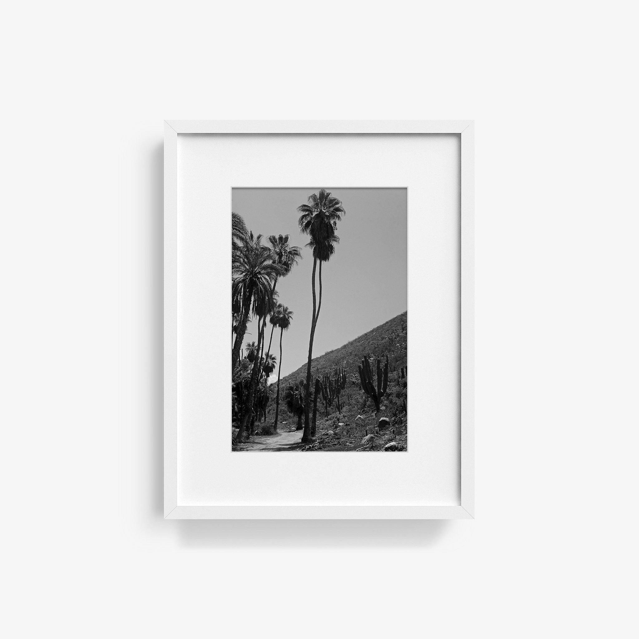 Photography by Isaac Zoller