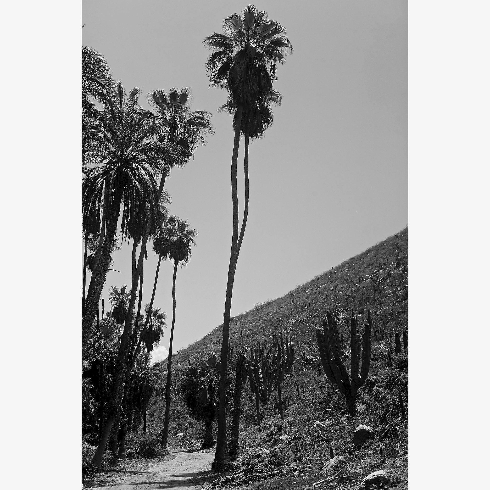 Photography by Isaac Zoller