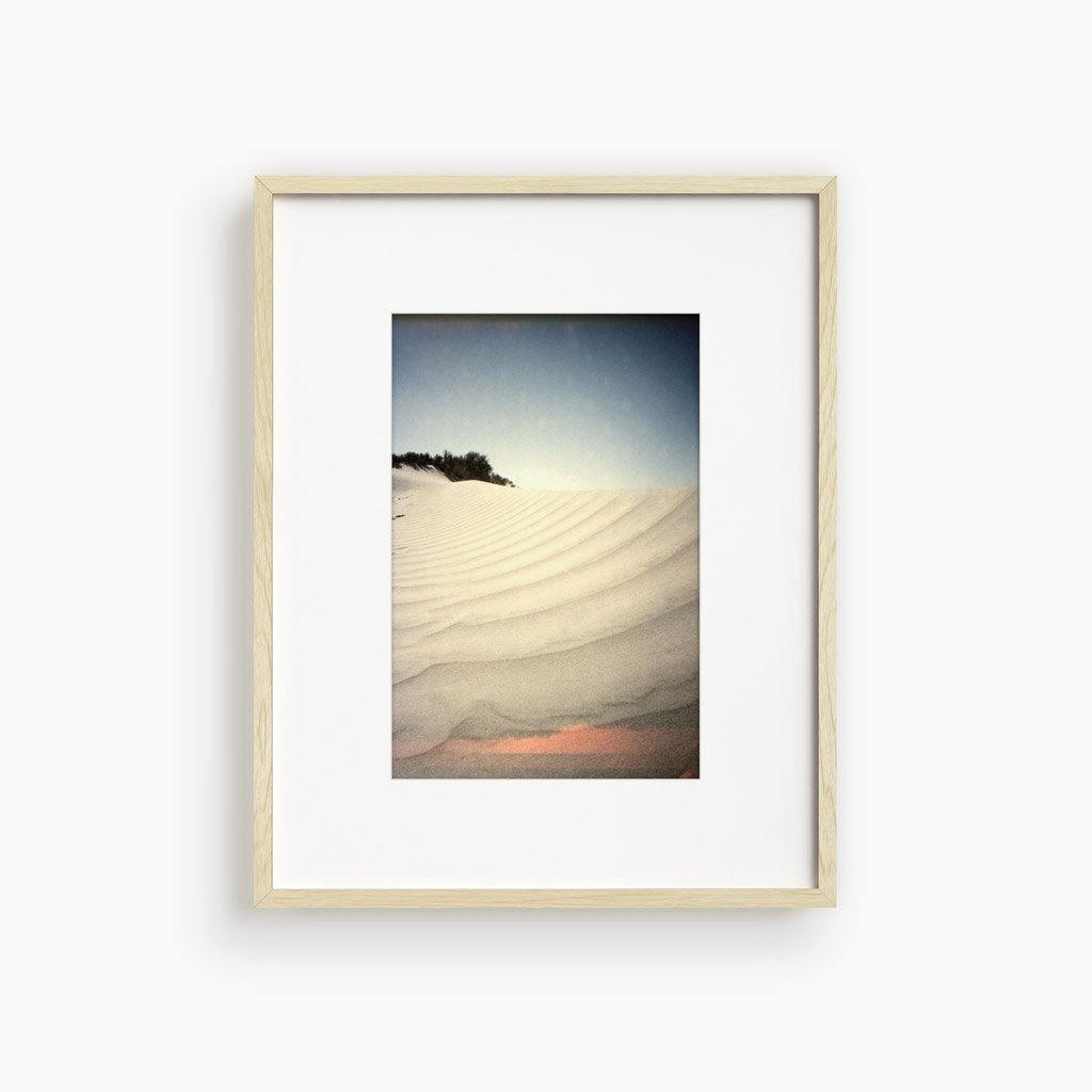 Ribbed Wonder, Photograph  by  Ribbed Wonder Tappan