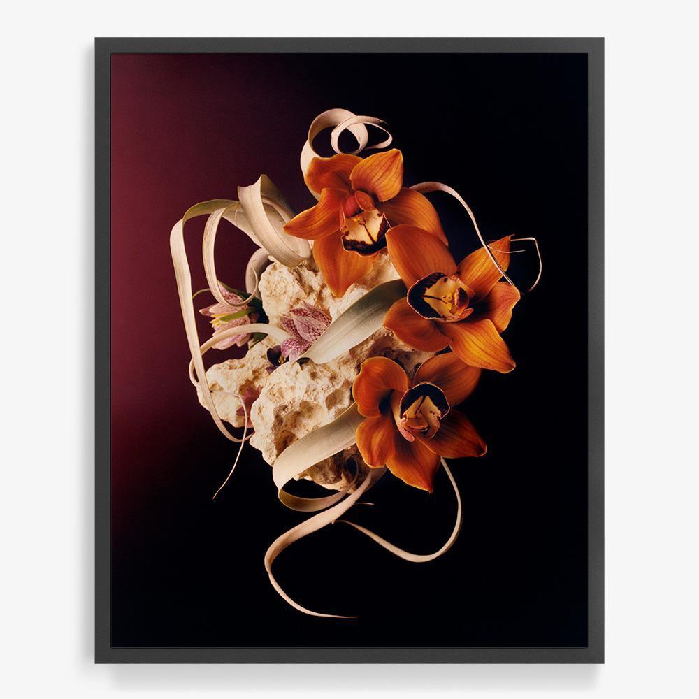 Coral 2, Photograph  by  Coral 2 Tappan