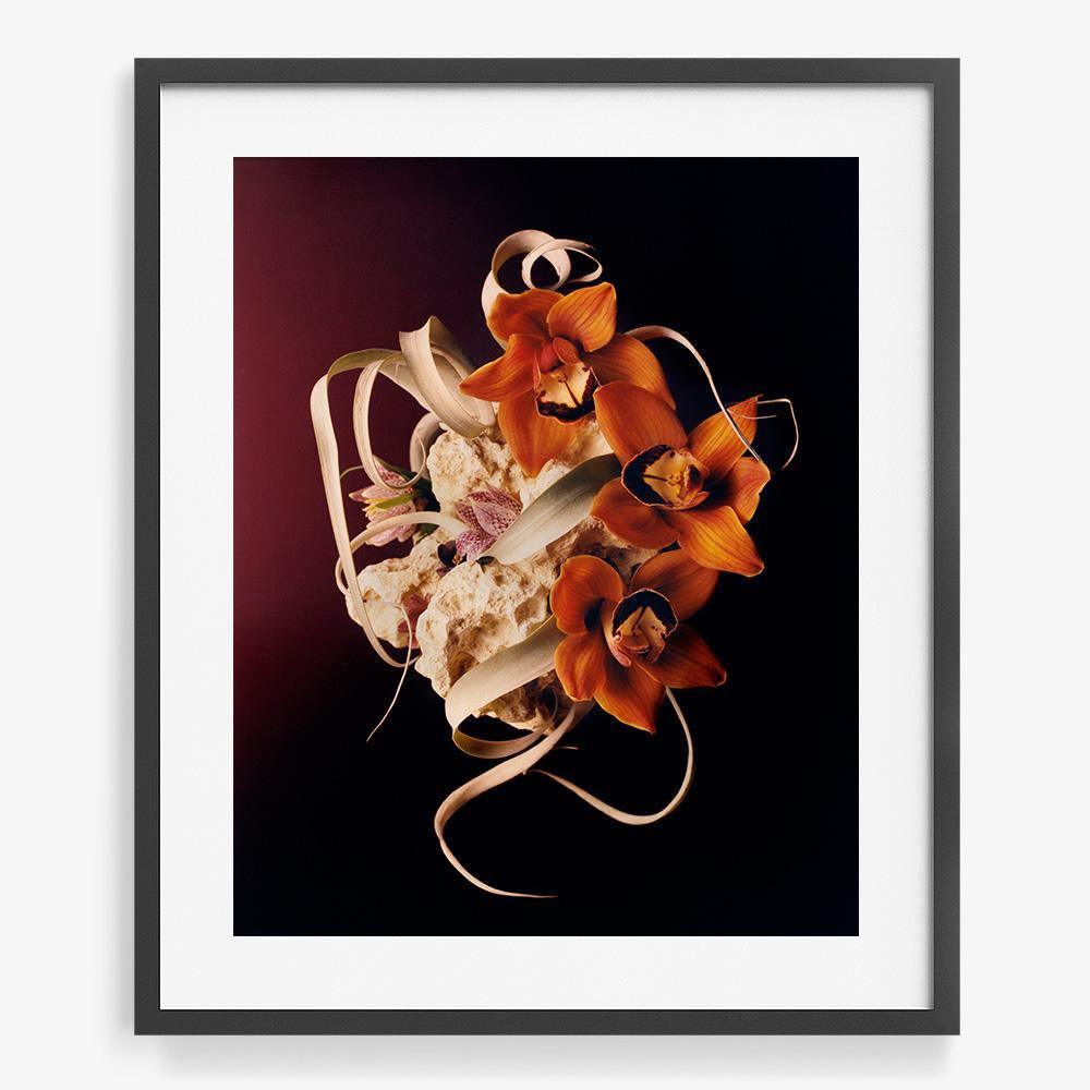 Coral 2, Photograph  by  Coral 2 Tappan