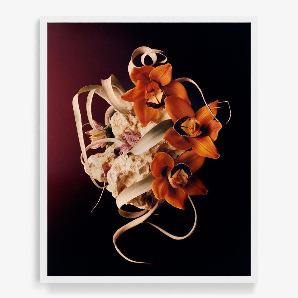 Coral 2, Photograph  by  Coral 2 Tappan