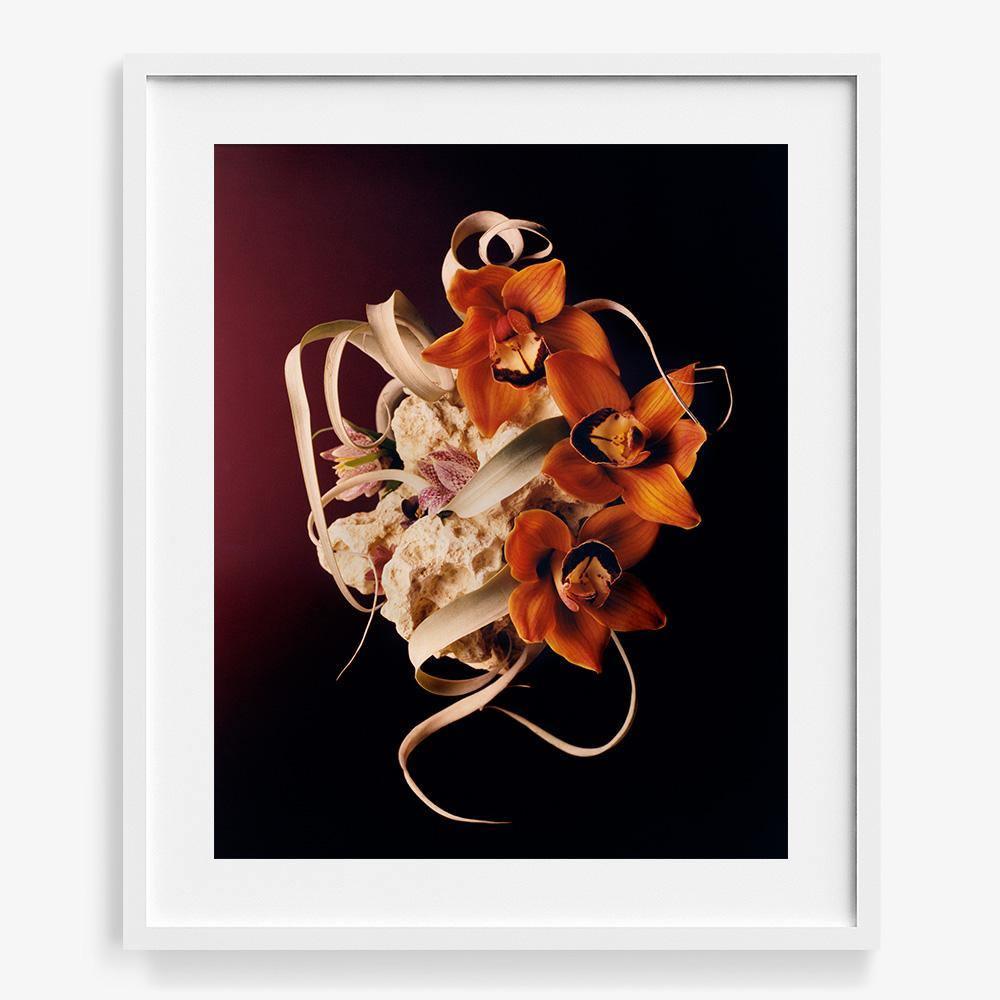 Coral 2, Photograph  by  Coral 2 Tappan