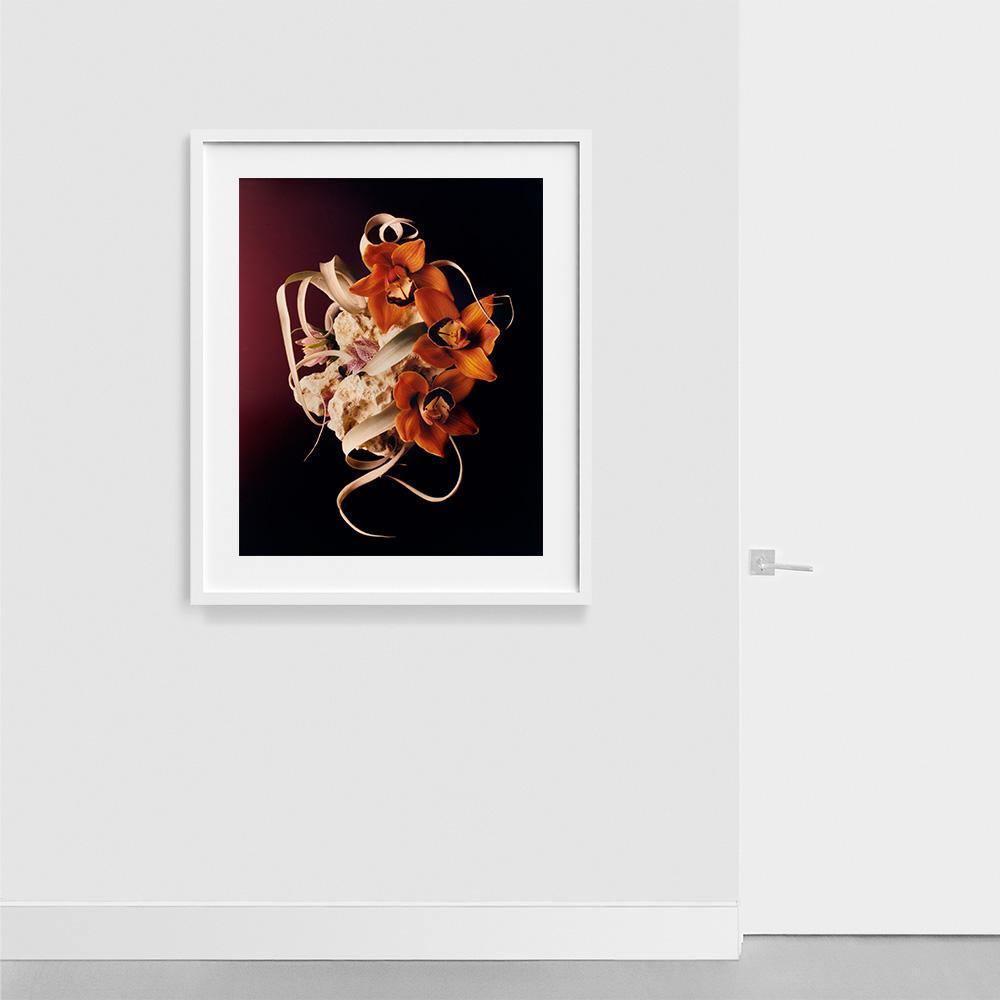 Coral 2, Photograph  by  Coral 2 Tappan