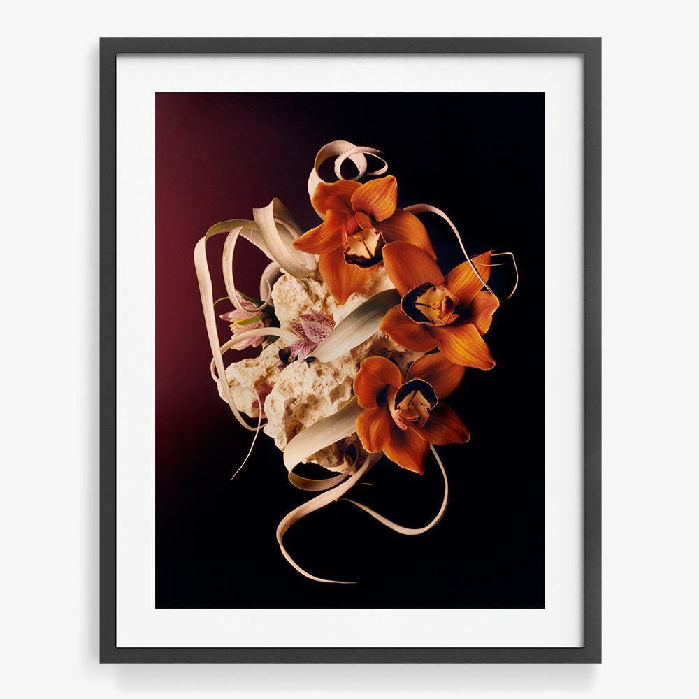 Coral 2, Photograph  by  Coral 2 Tappan