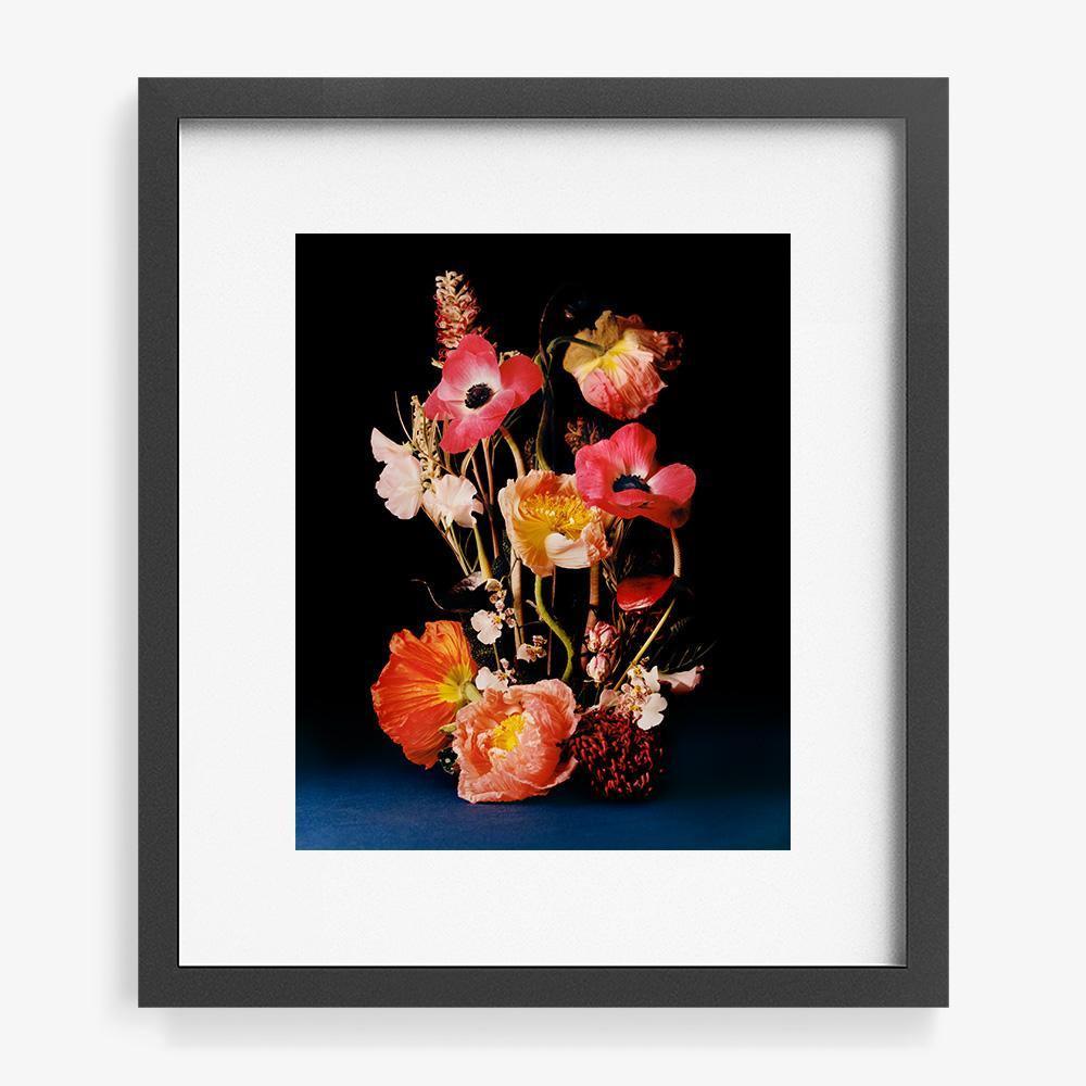 Coral 4, Photograph  by  Coral 4 Tappan