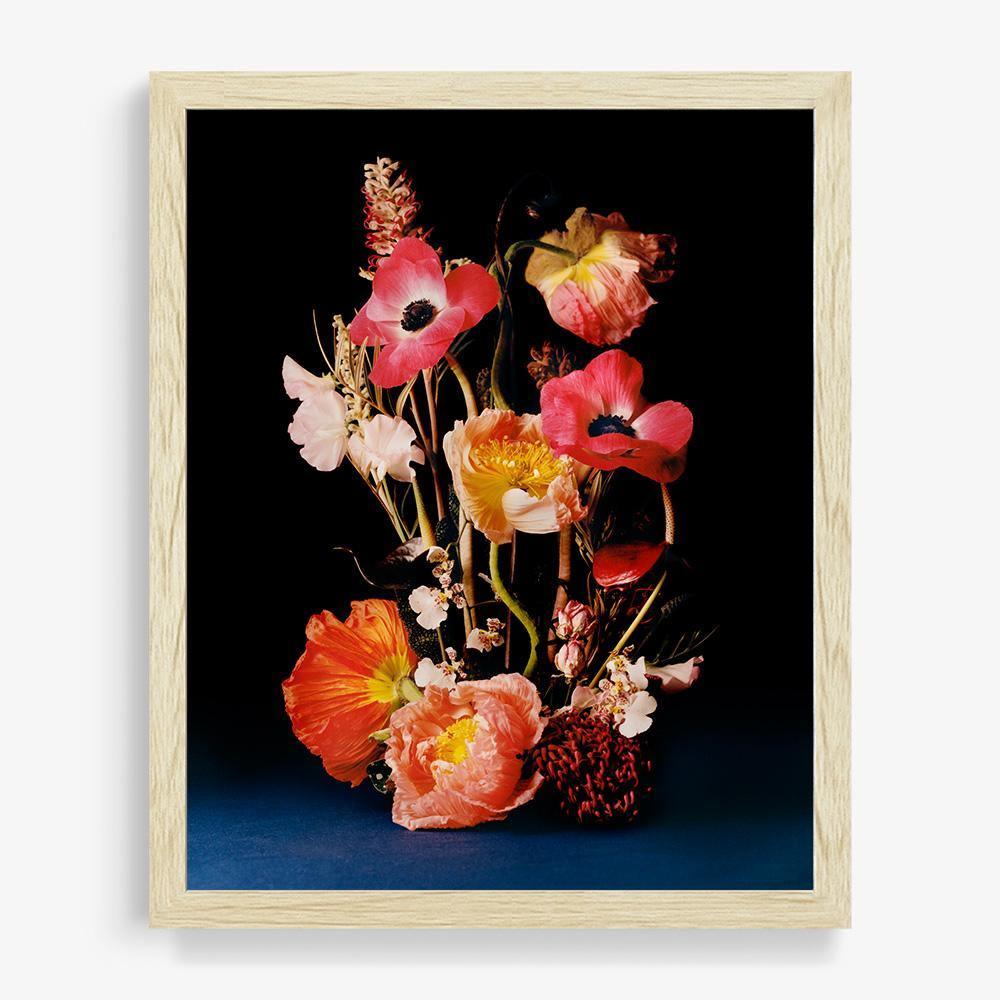 Coral 4, Photograph  by  Coral 4 Tappan