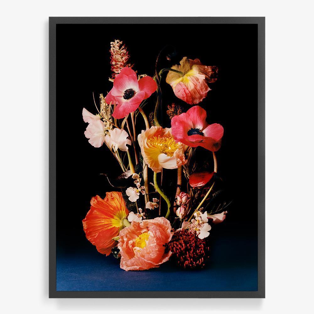 Coral 4, Photograph  by  Coral 4 Tappan