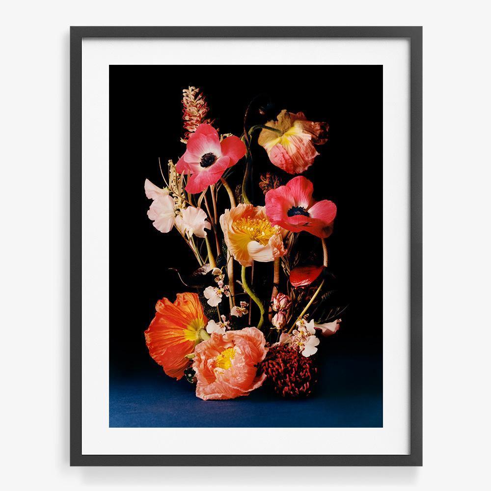 Coral 4, Photograph  by  Coral 4 Tappan