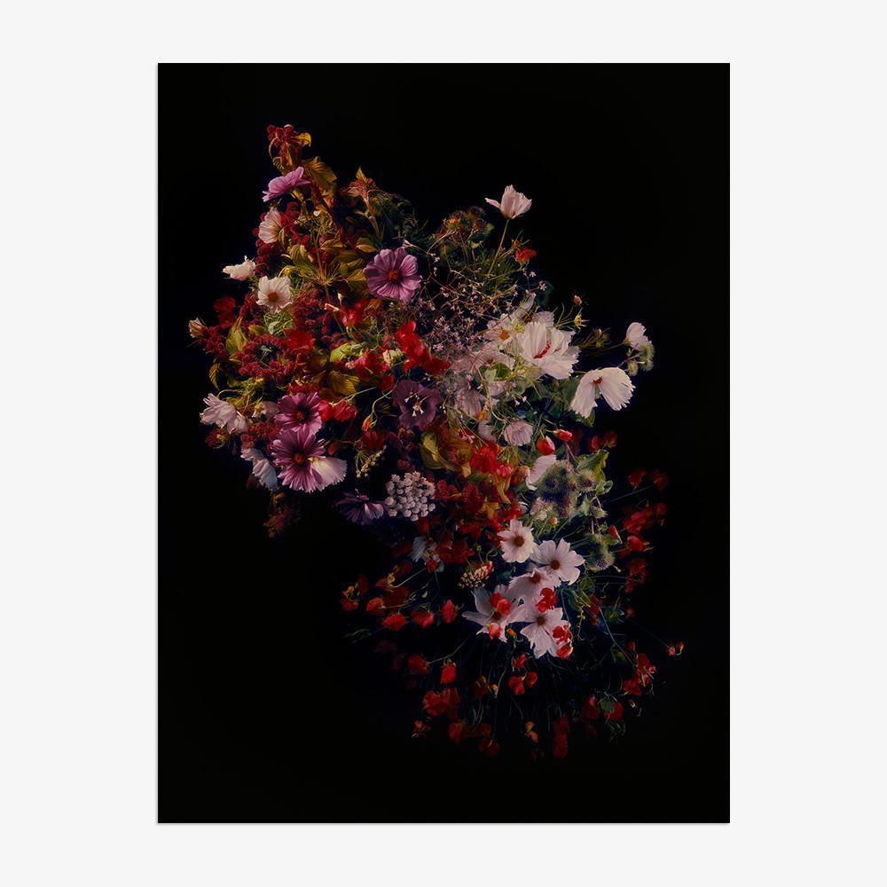 Photograph by Jacques Brun