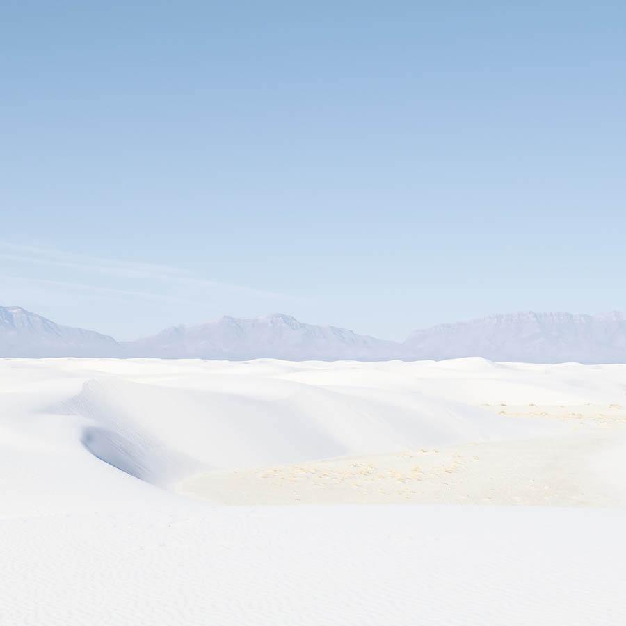 Photography by James Needham