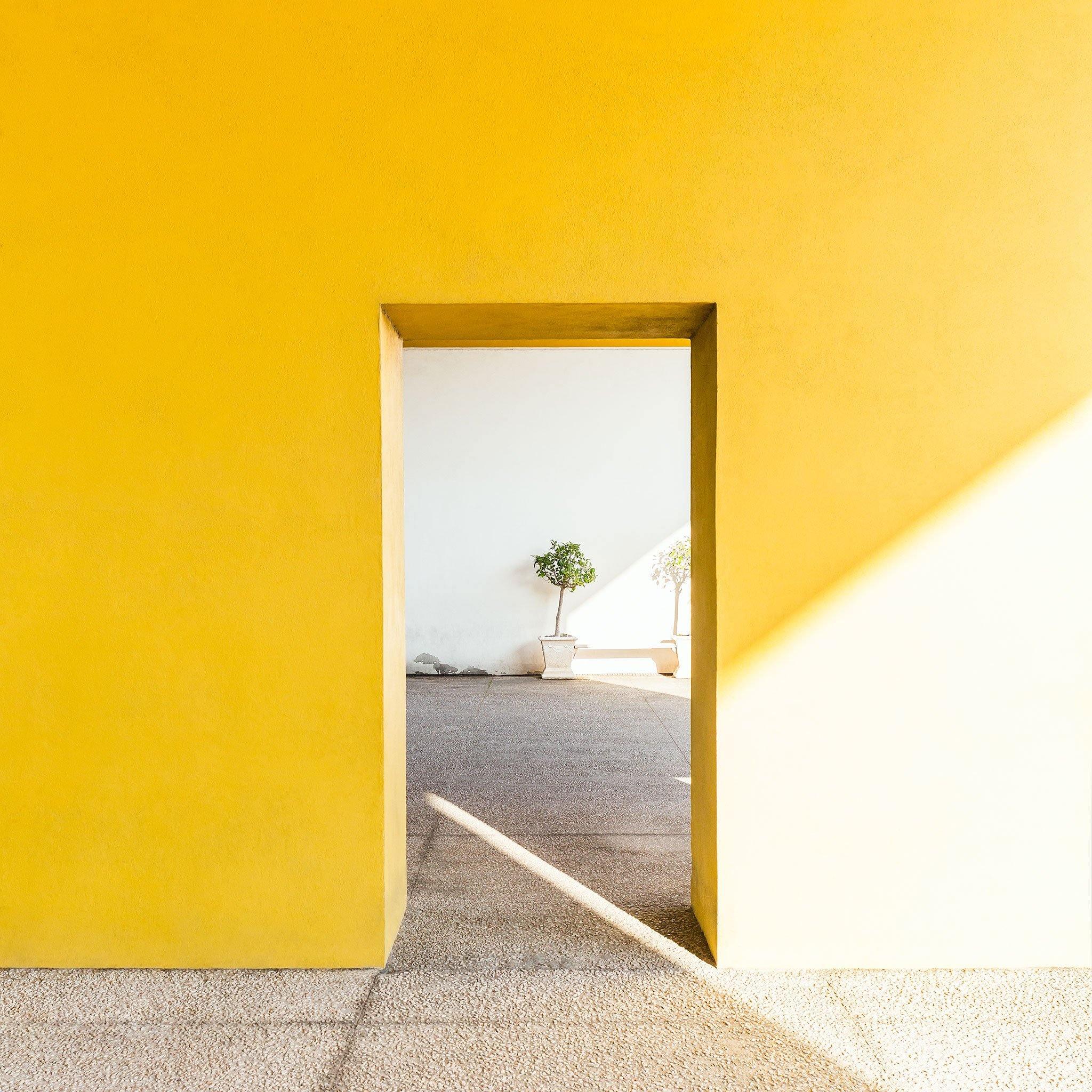 Photograph by Jan Prengel