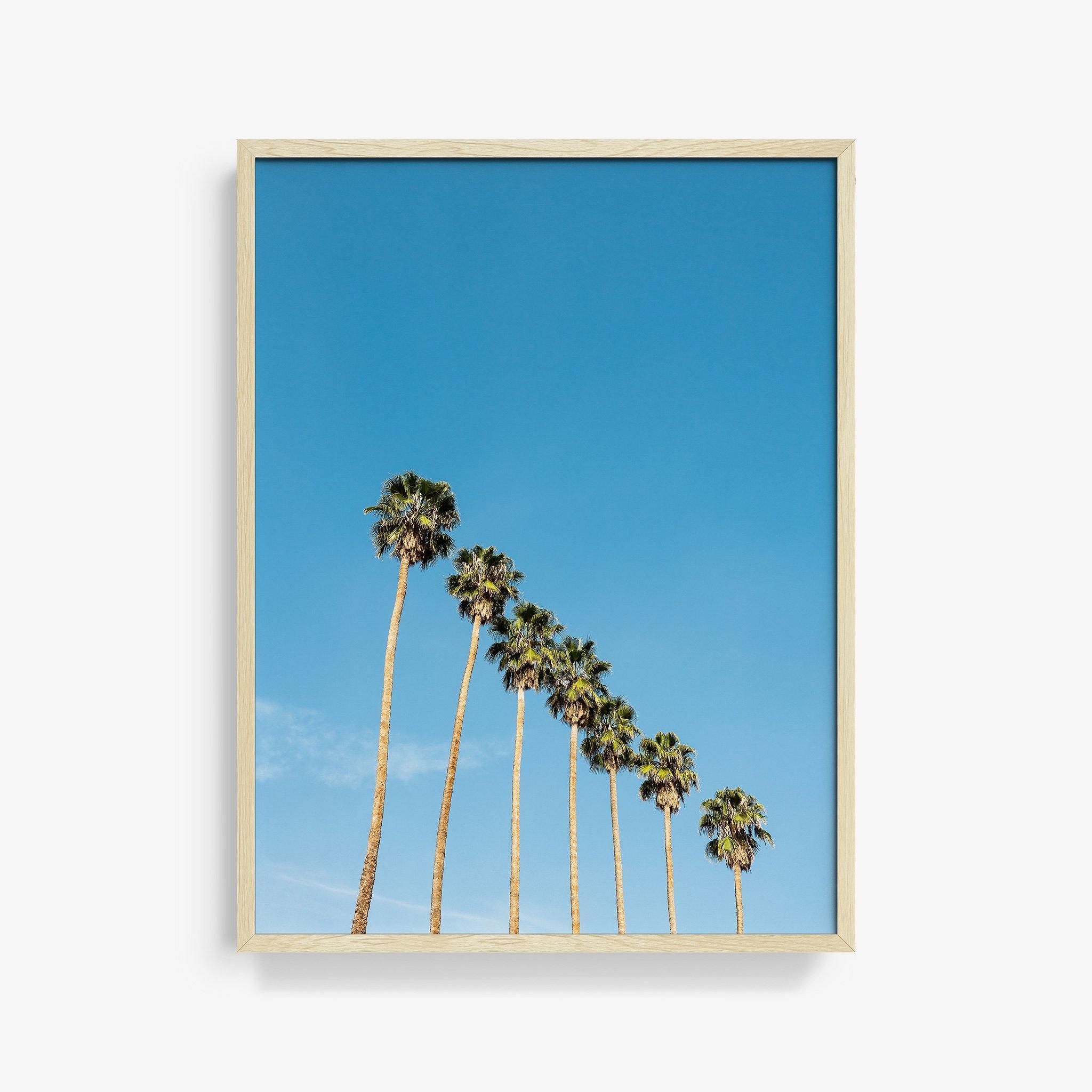 Photograph by Jan Prengel