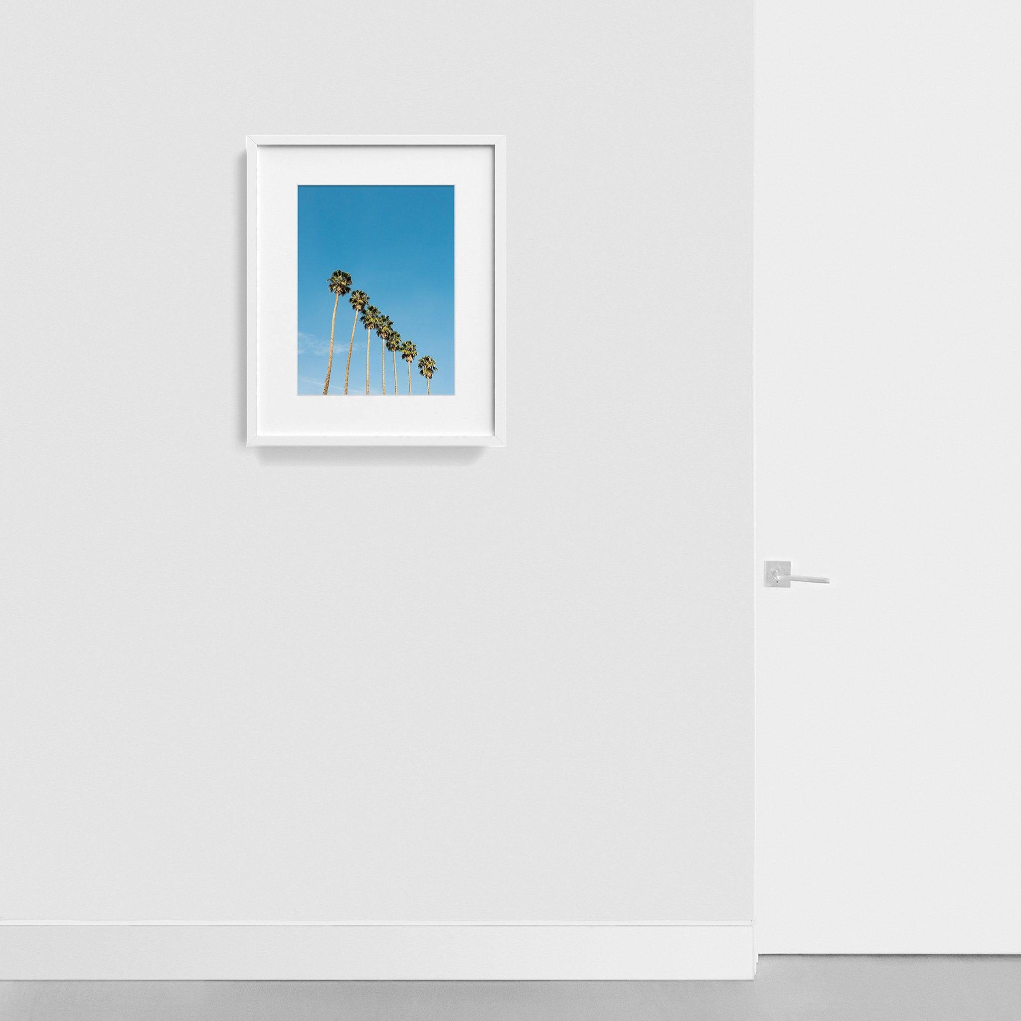 Photograph by Jan Prengel