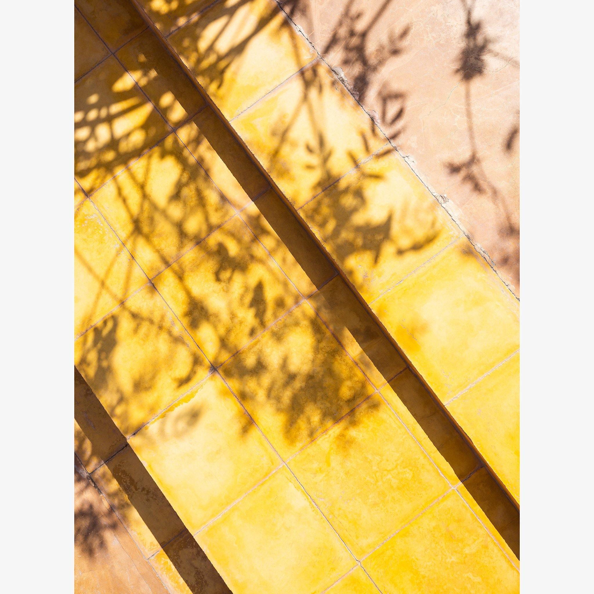 Photograph by Jan Prengel