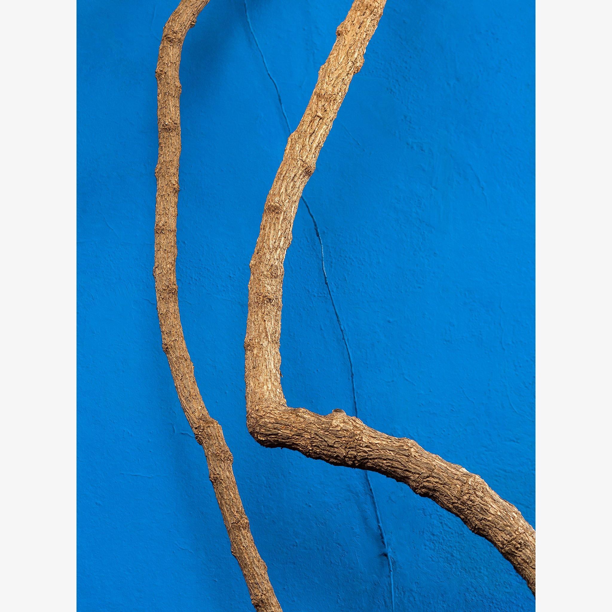 Photography by Jan Prengel