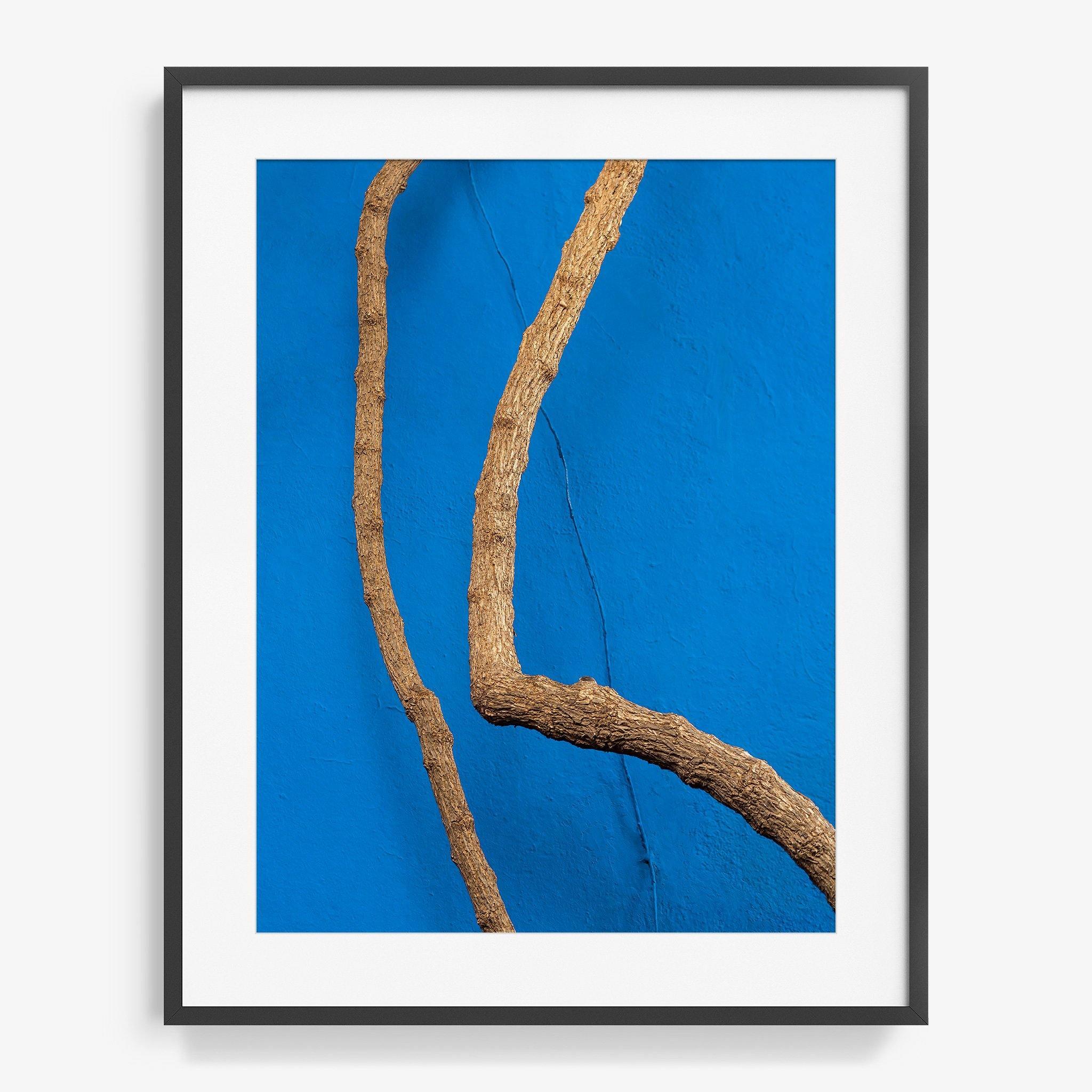 Photography by Jan Prengel
