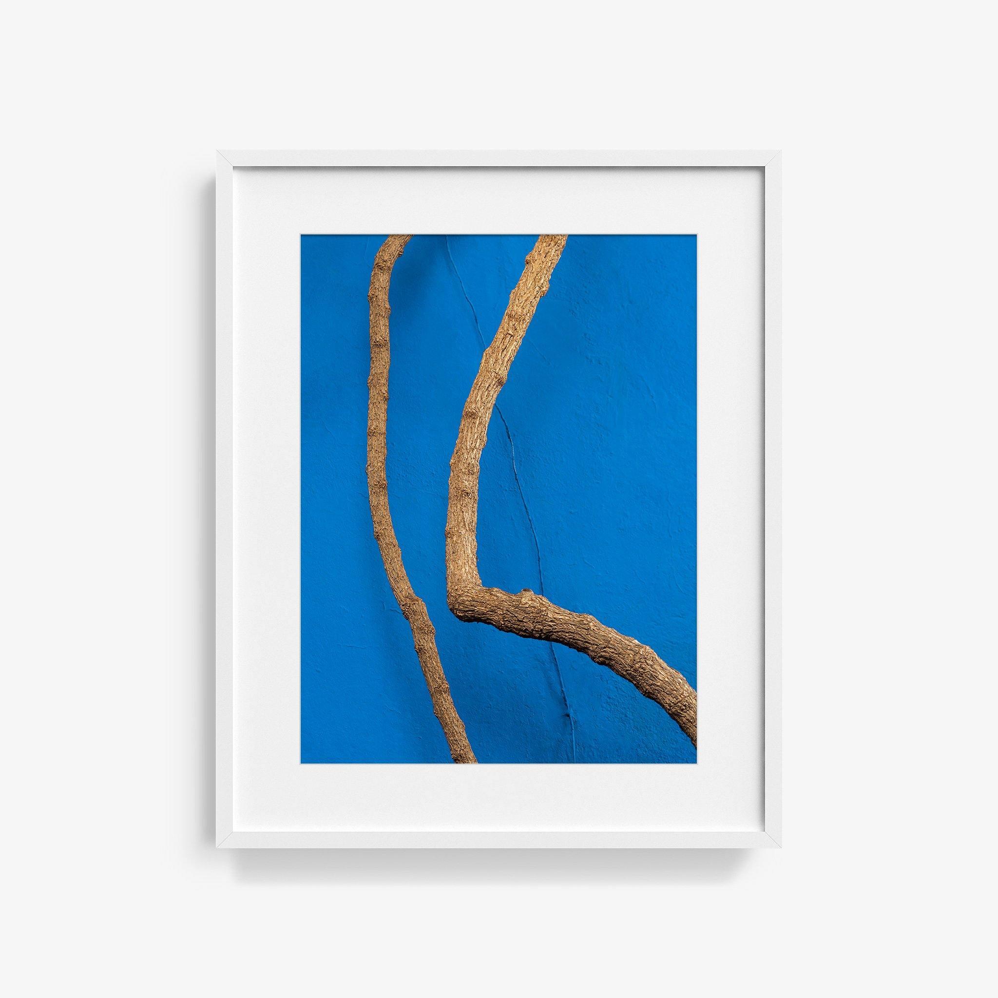 Photography by Jan Prengel