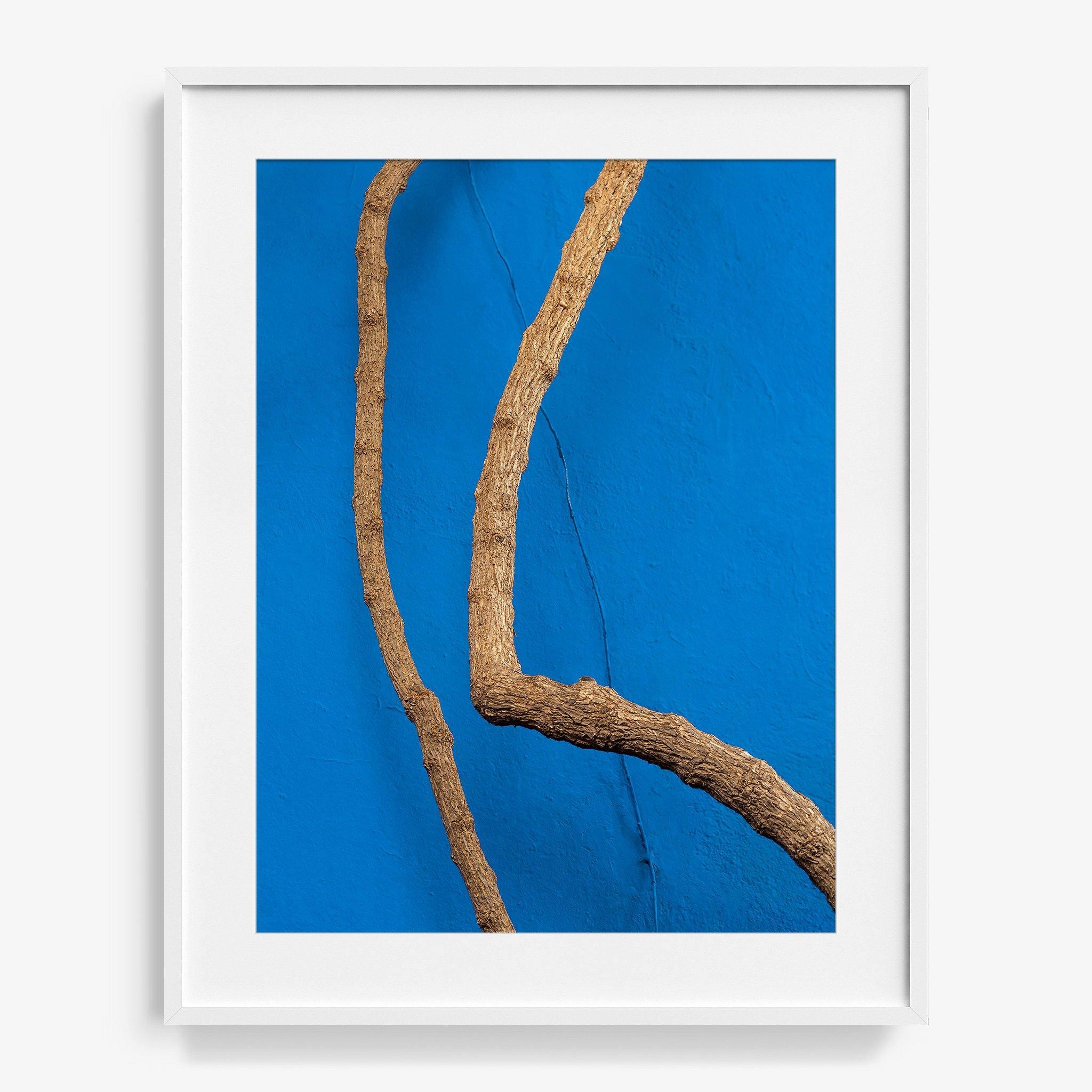 Photography by Jan Prengel