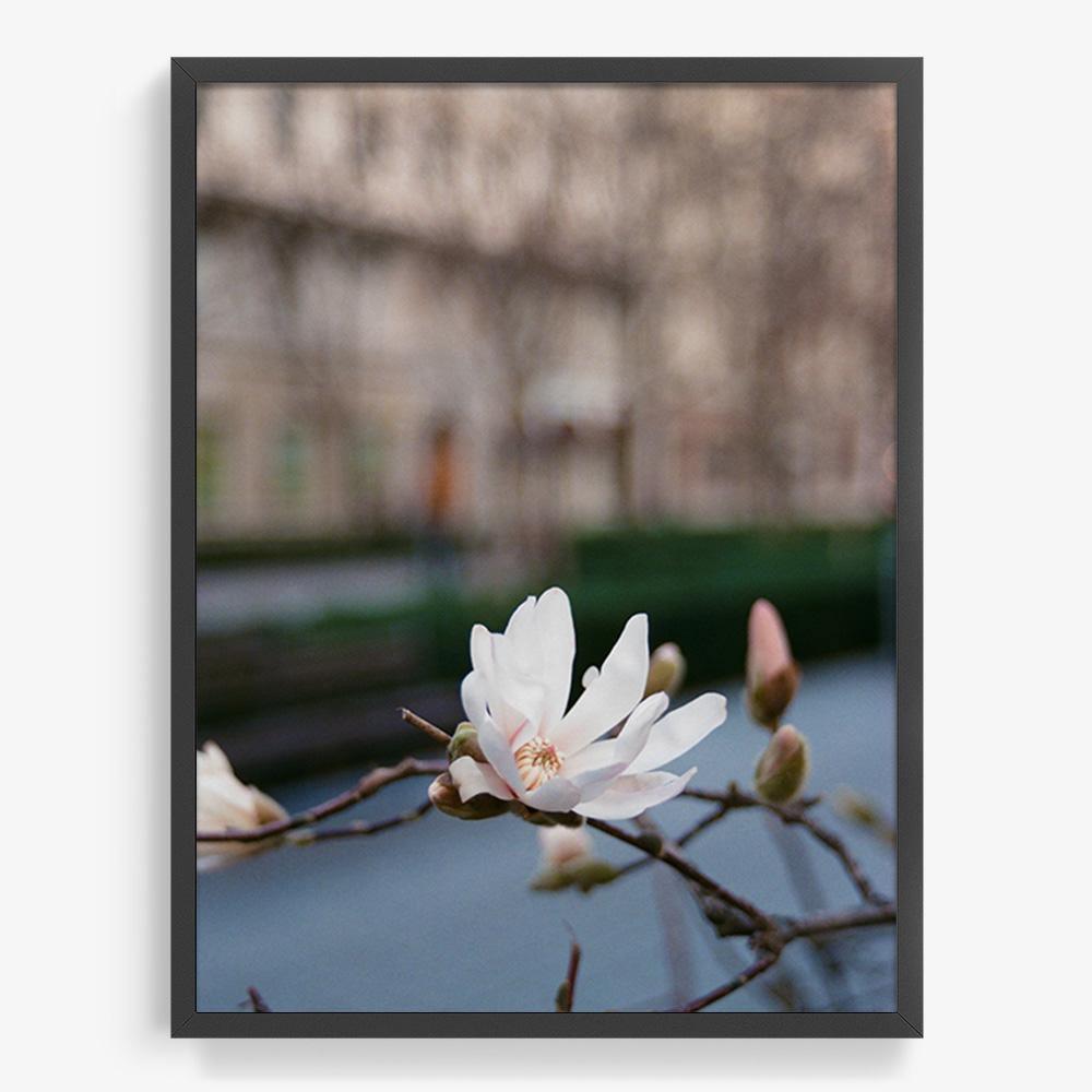 Photograph by Johanna Tagada Hoffbeck