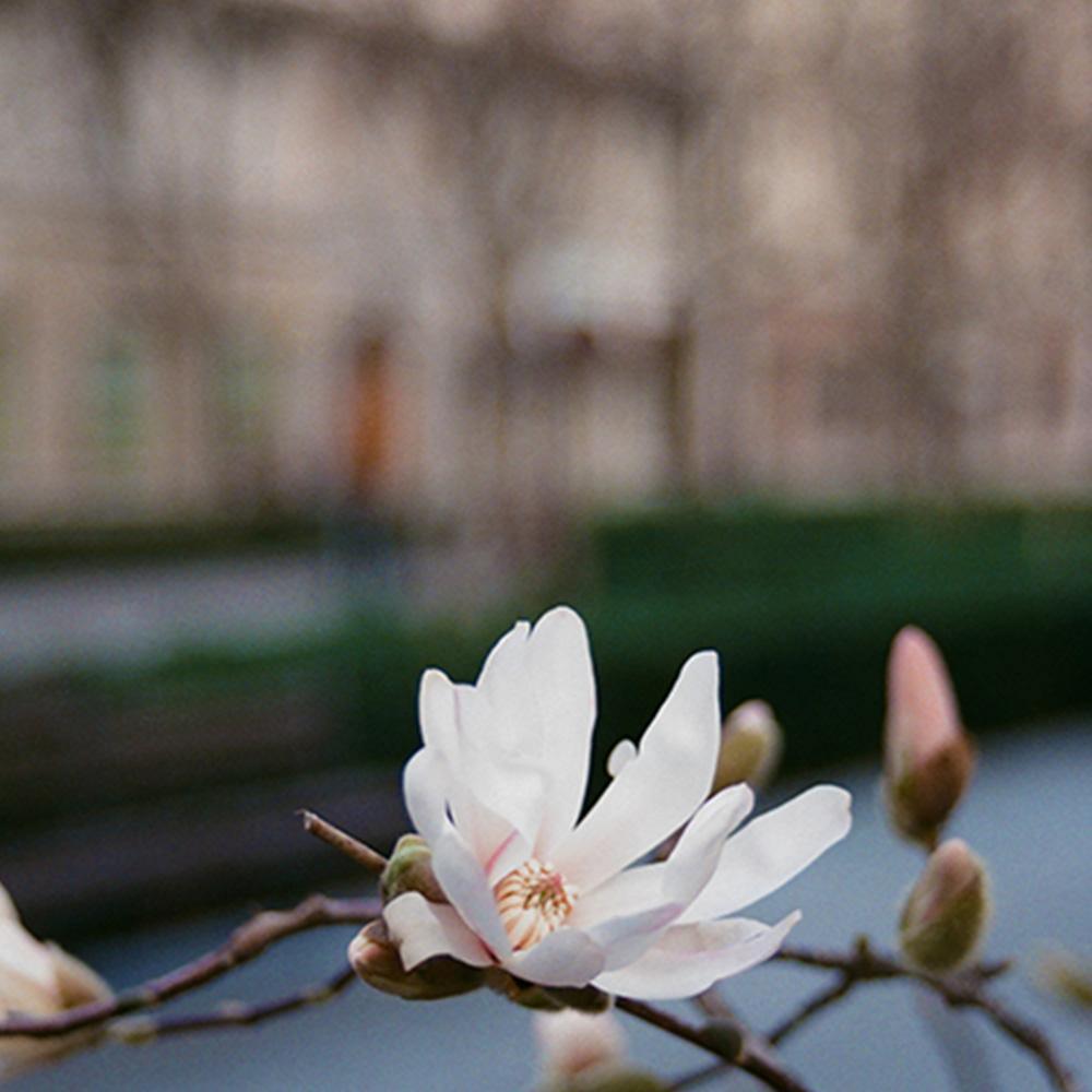 Photograph by Johanna Tagada Hoffbeck