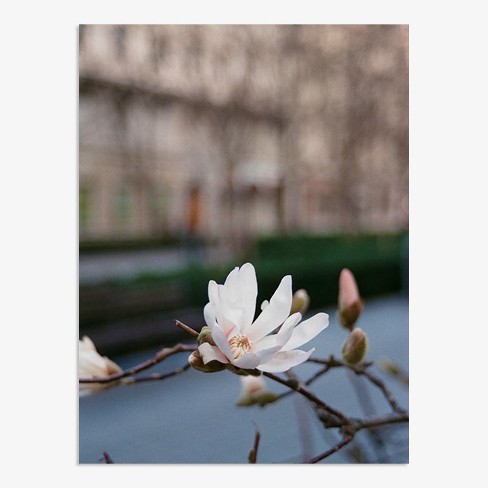 Photograph by Johanna Tagada Hoffbeck