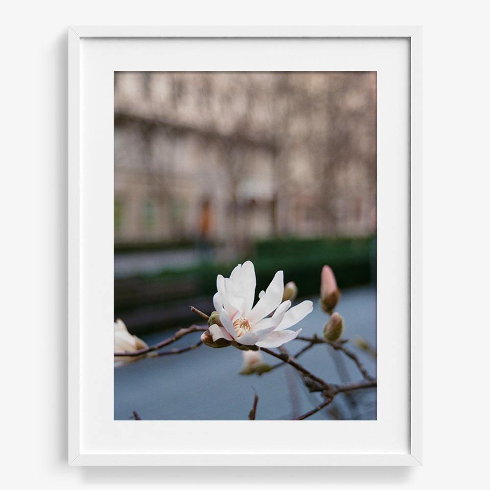 Photograph by Johanna Tagada Hoffbeck