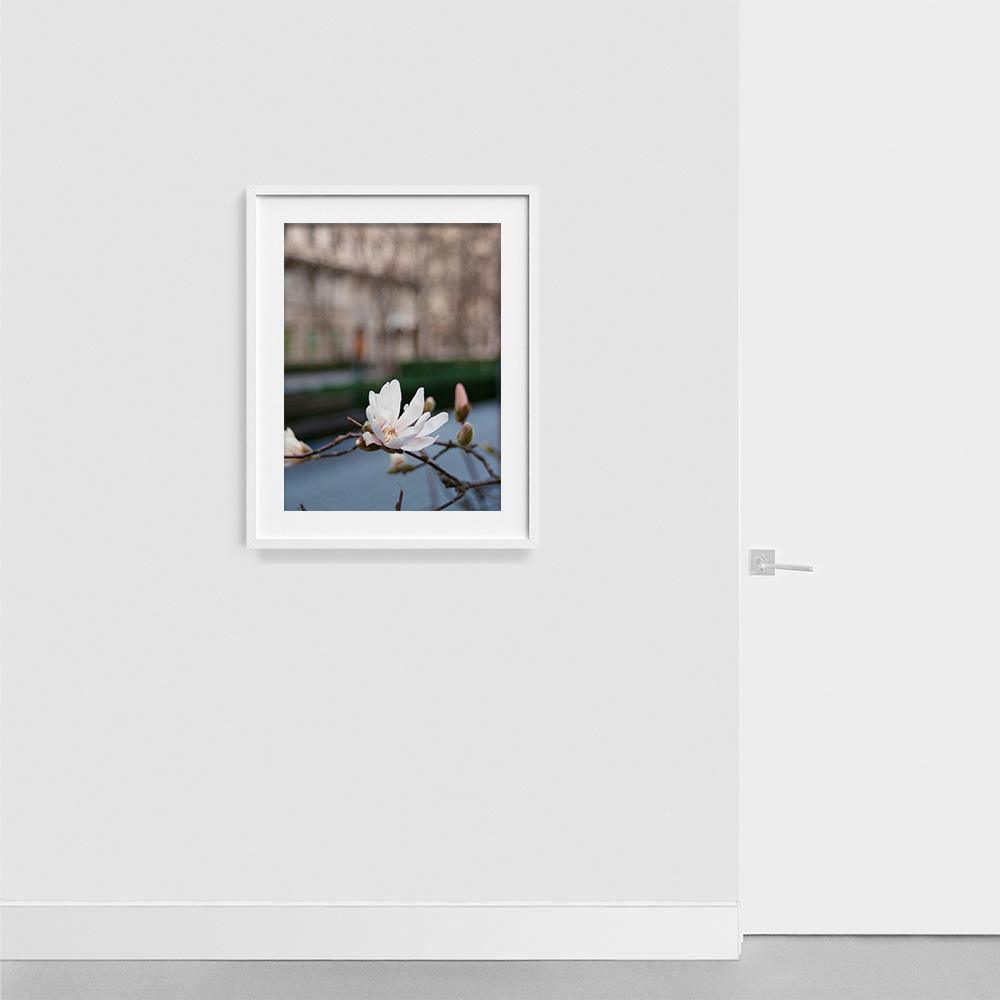 Photograph by Johanna Tagada Hoffbeck