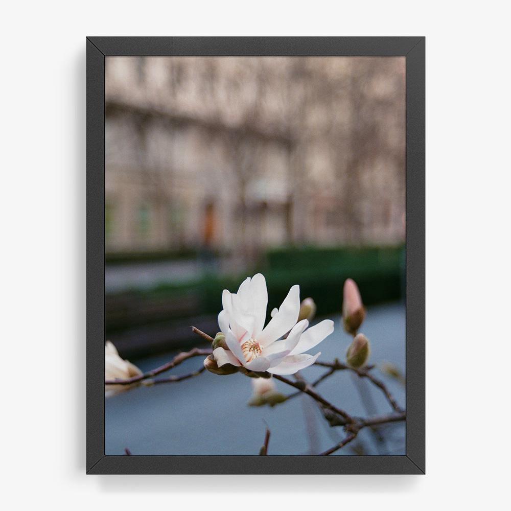 Photograph by Johanna Tagada Hoffbeck