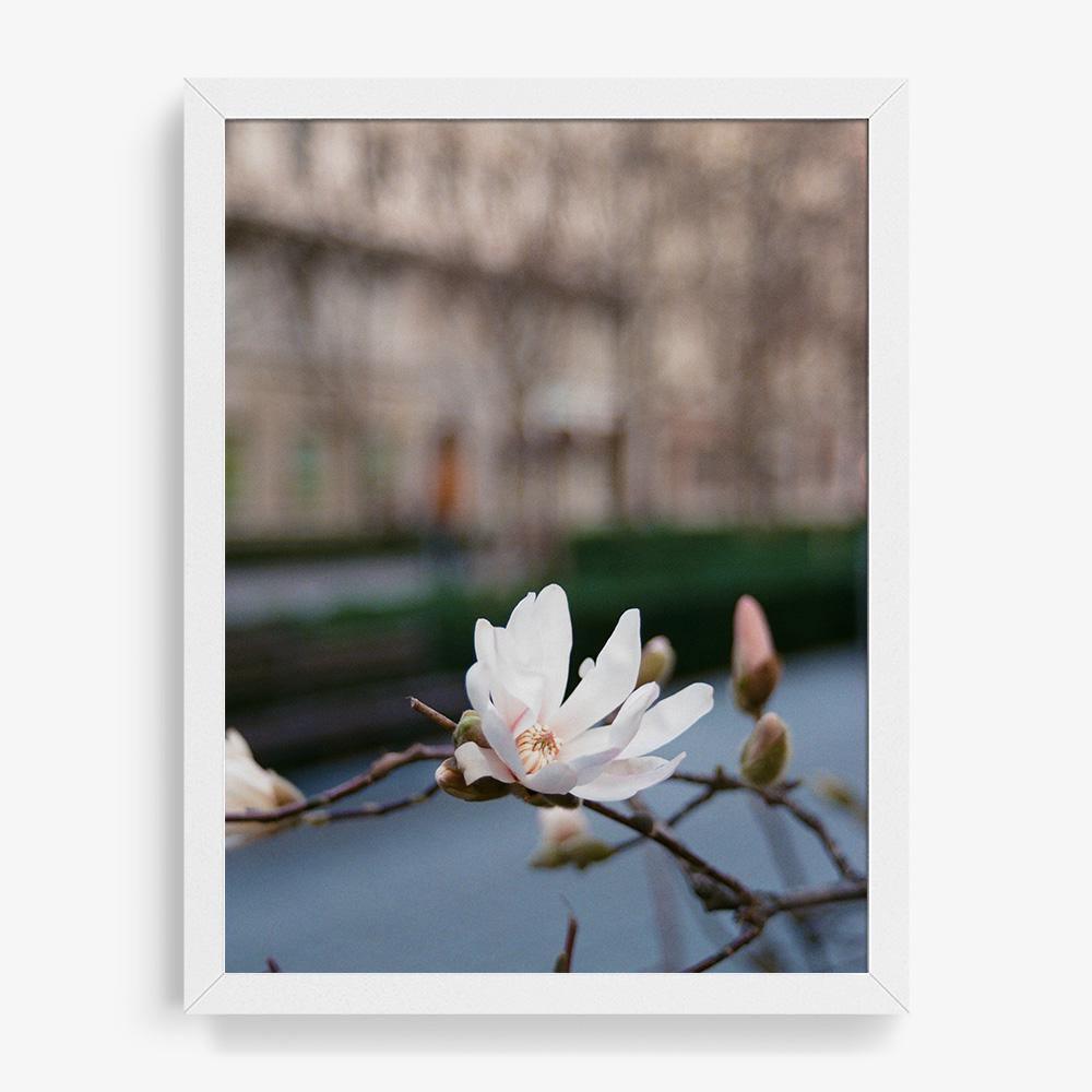 Photograph by Johanna Tagada Hoffbeck