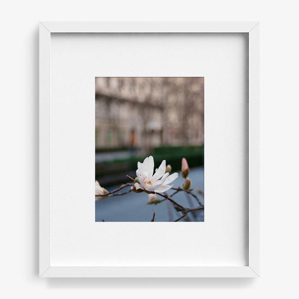Photograph by Johanna Tagada Hoffbeck