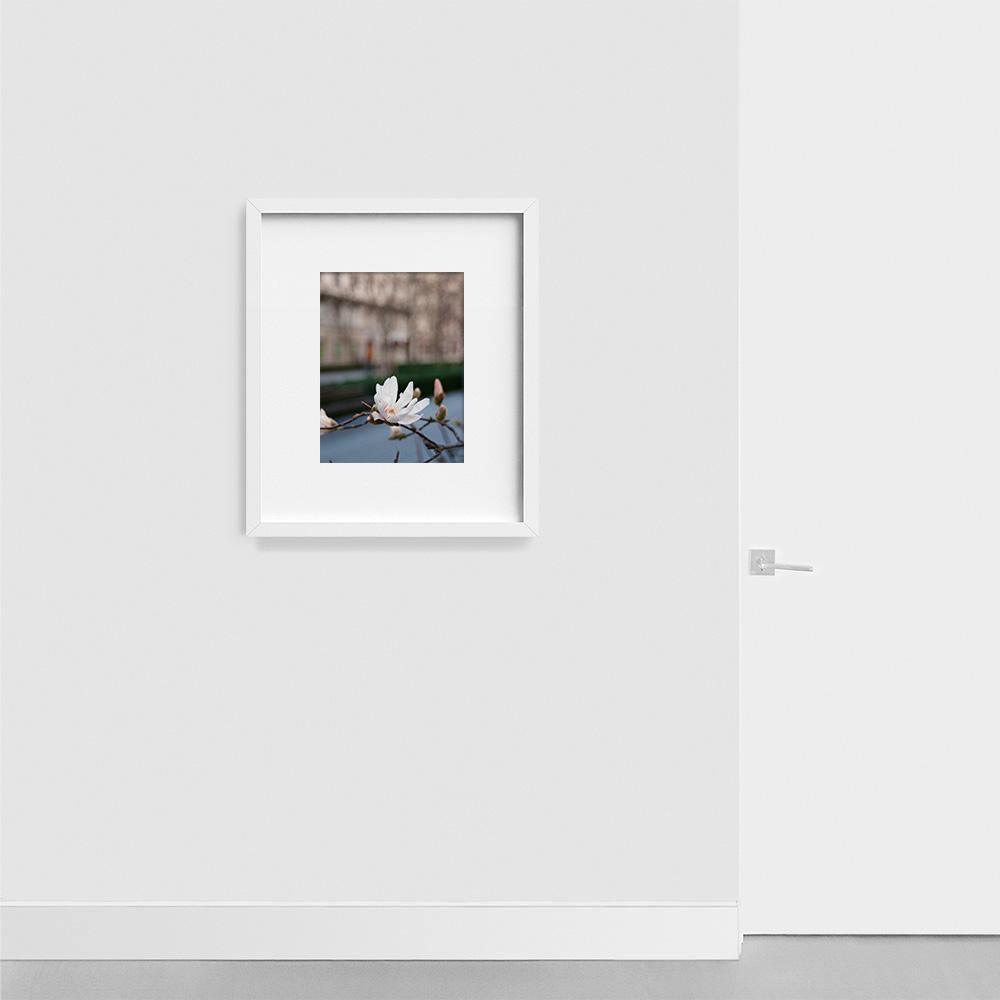 Photograph by Johanna Tagada Hoffbeck