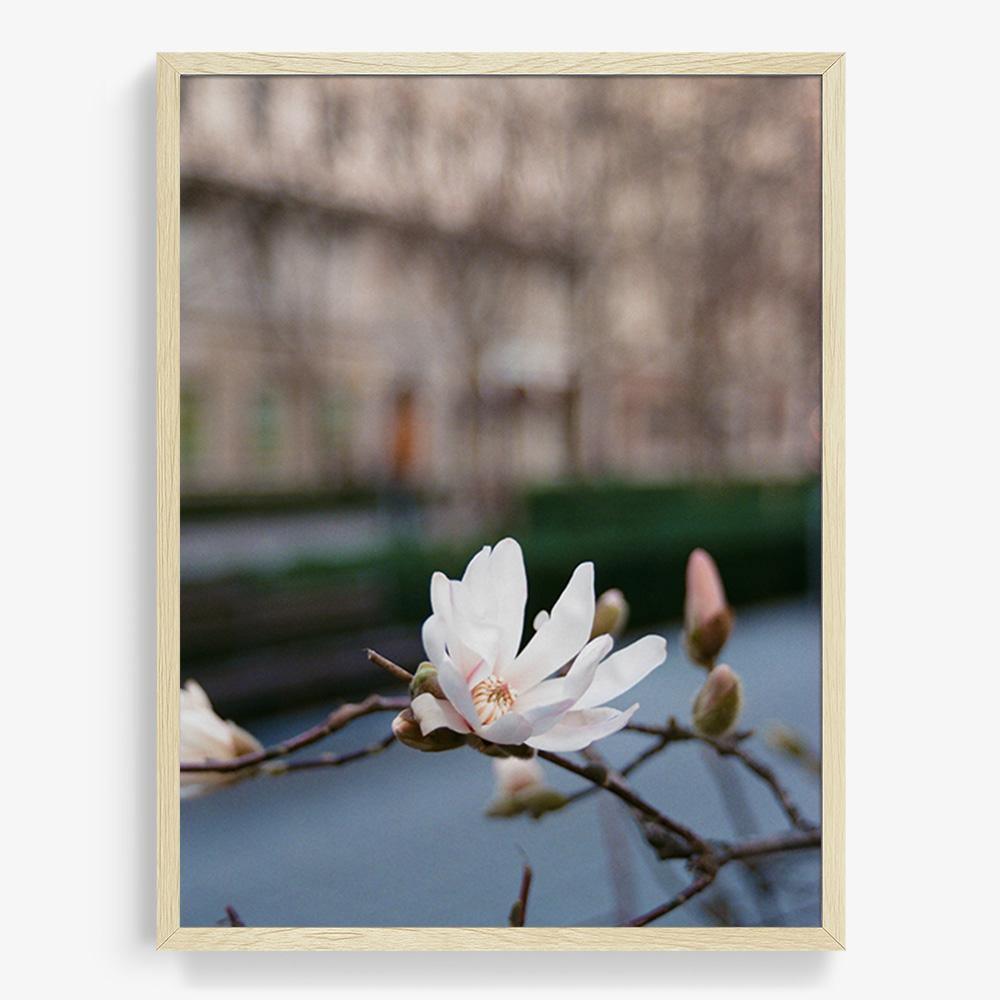 Photograph by Johanna Tagada Hoffbeck