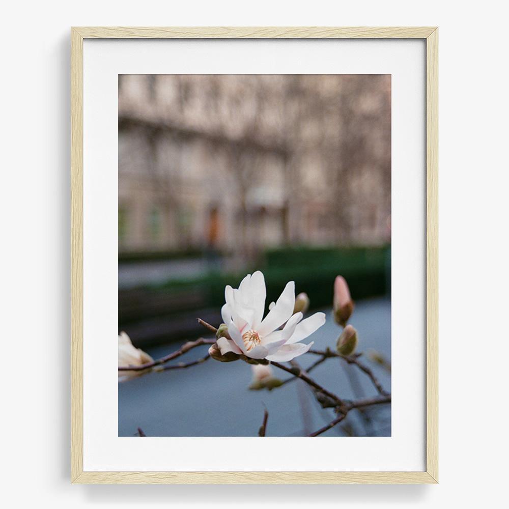 Photograph by Johanna Tagada Hoffbeck