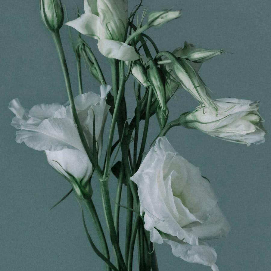 Photograph by Katie Burdon